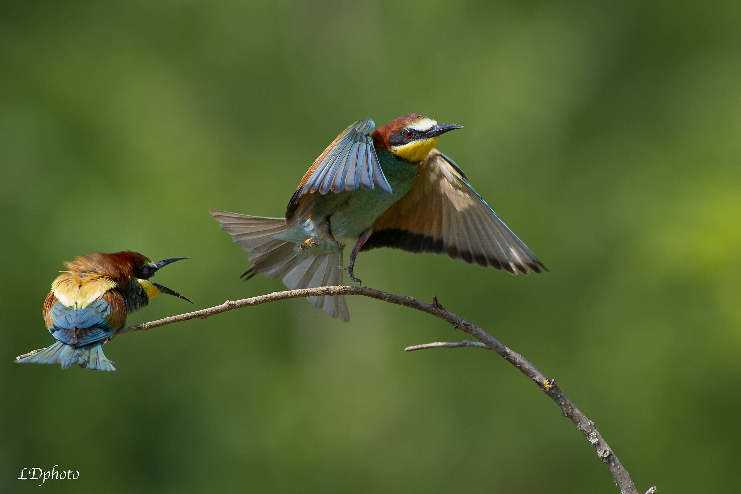 Meglio andare a comprare le sigarette