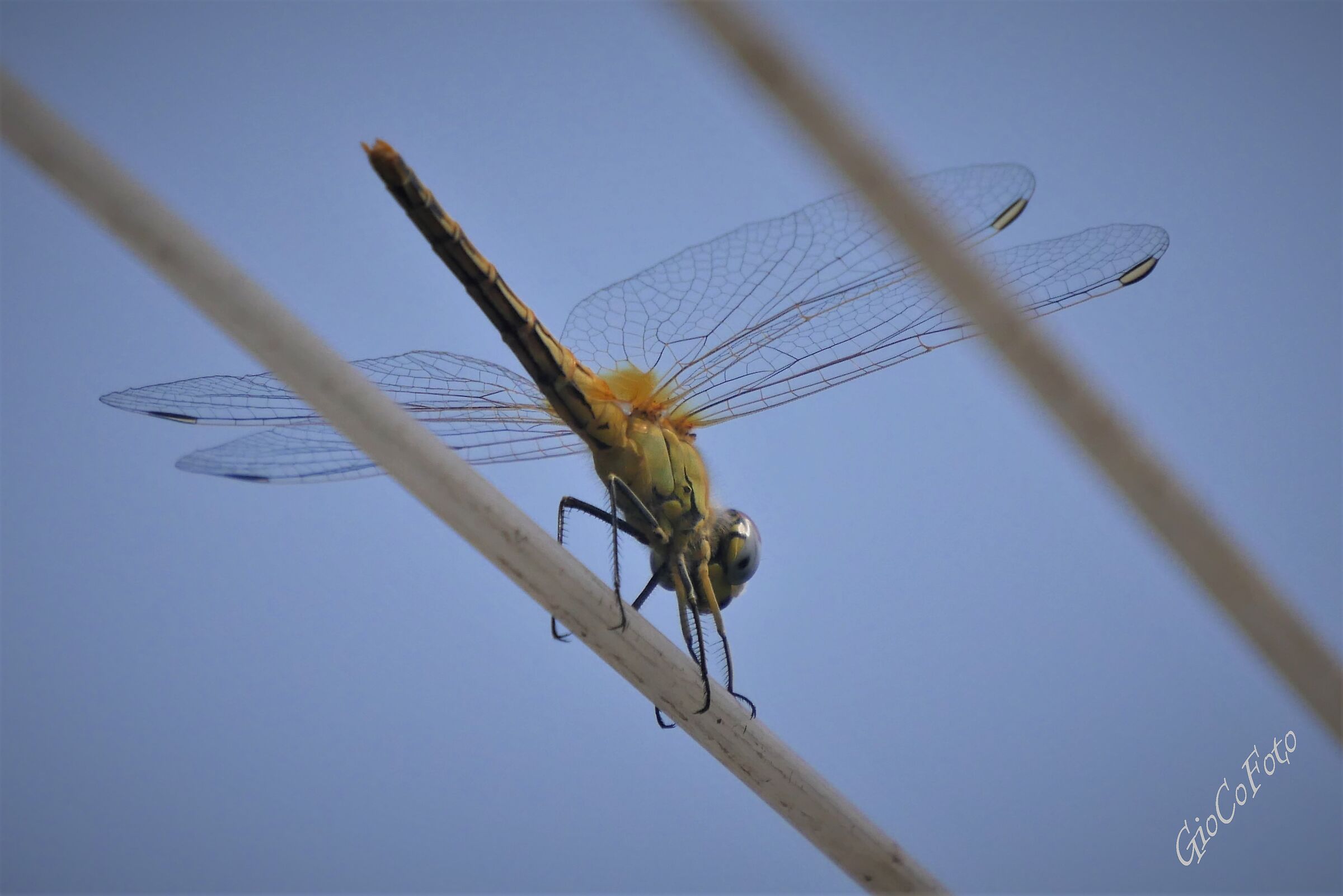 Sulla rampa di lancio