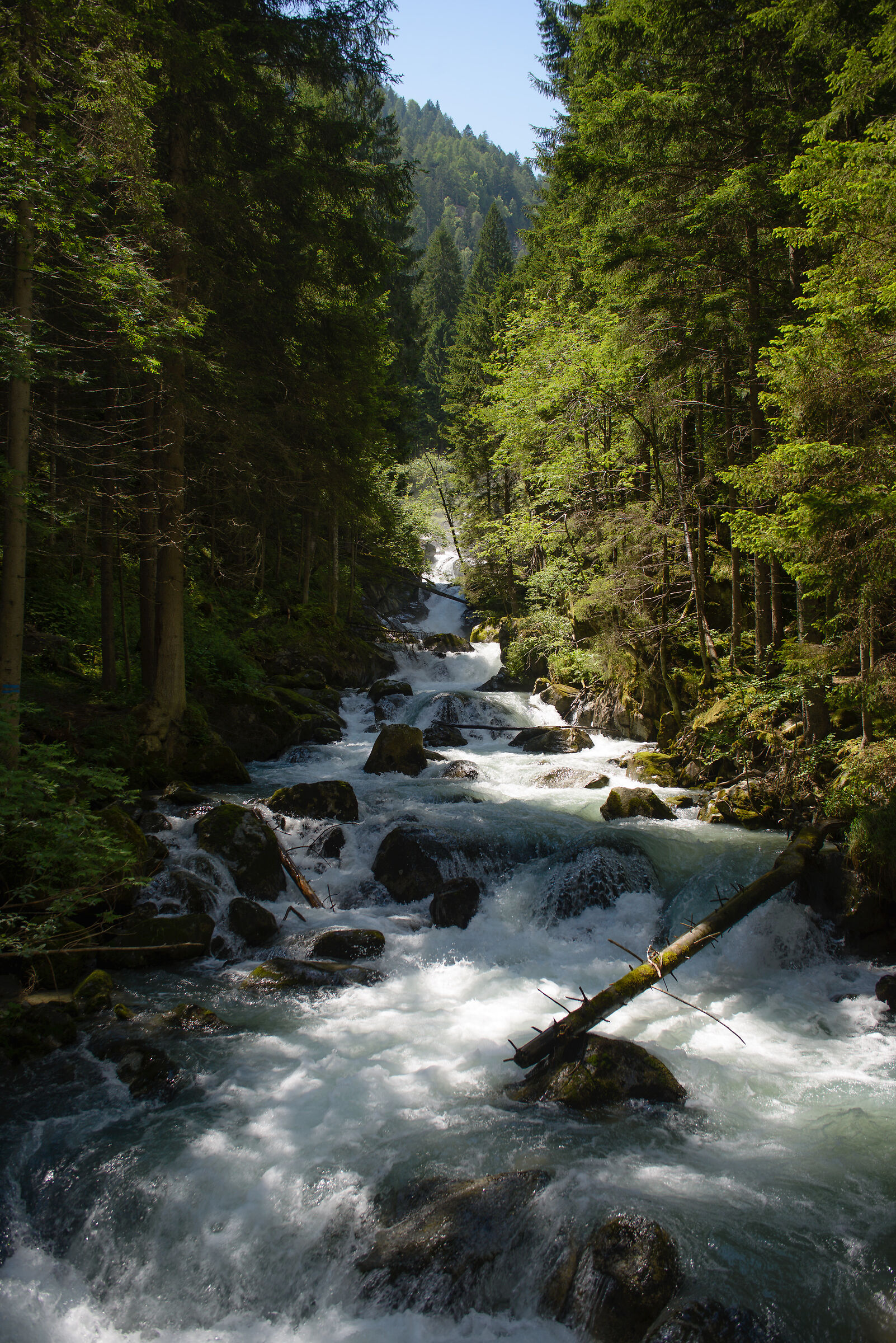 Sentiero delle cascate - val di Genova