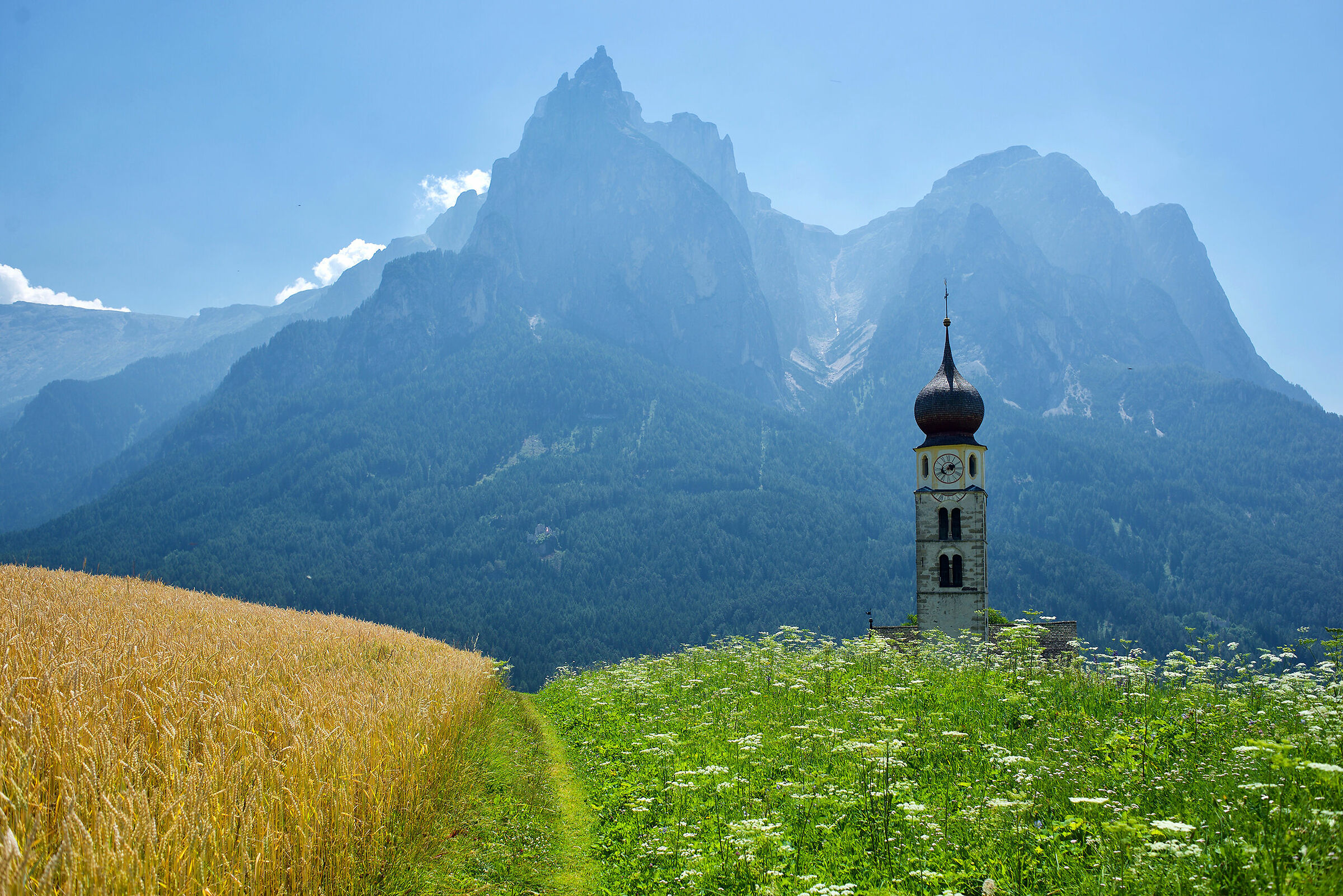 Sentiero tra verde e giallo