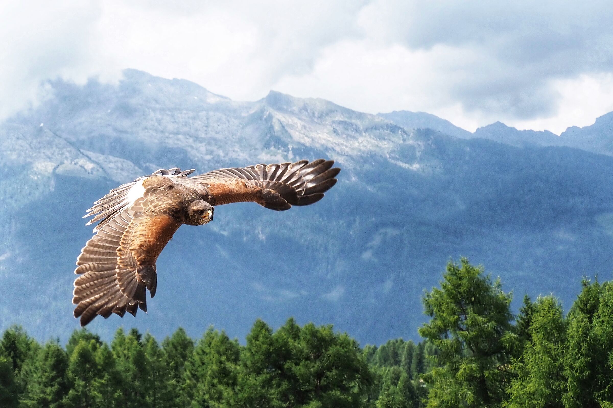 Don't Stand so Close to Me (Police - 1980)