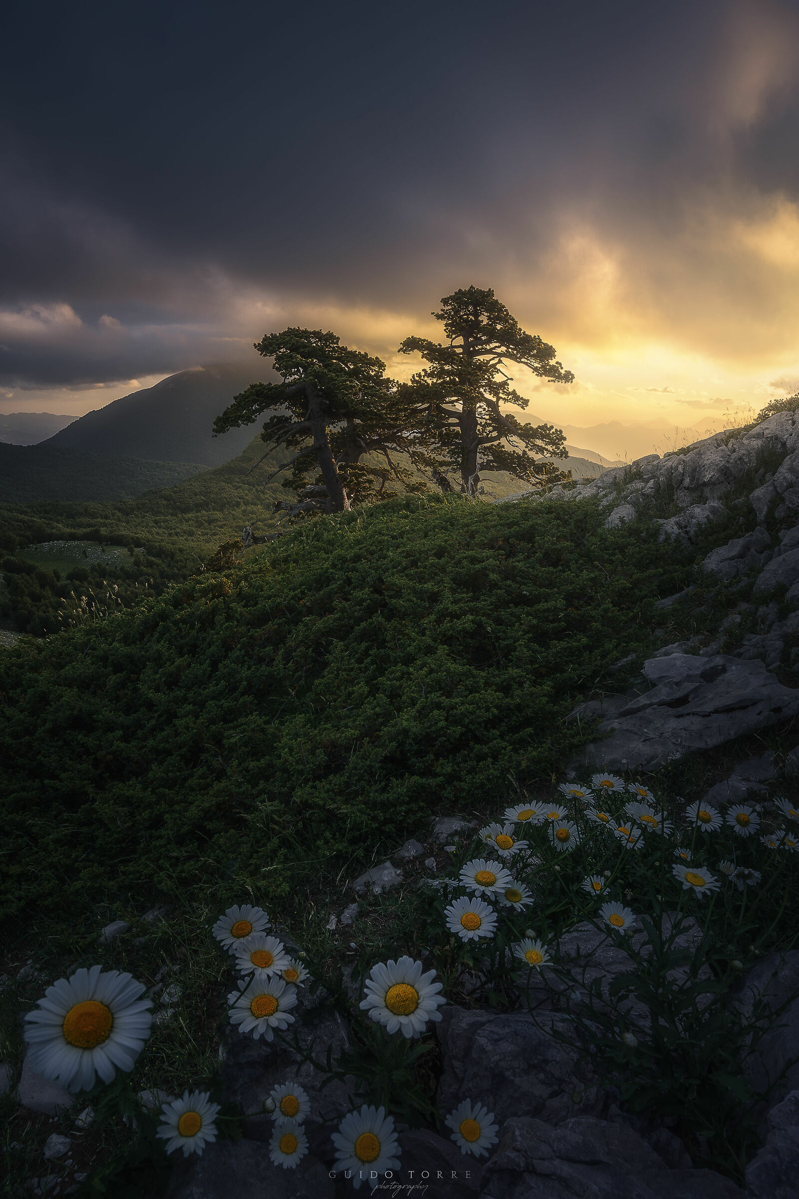 Greenhouse of the gods_Serra di Crispo\Pollino