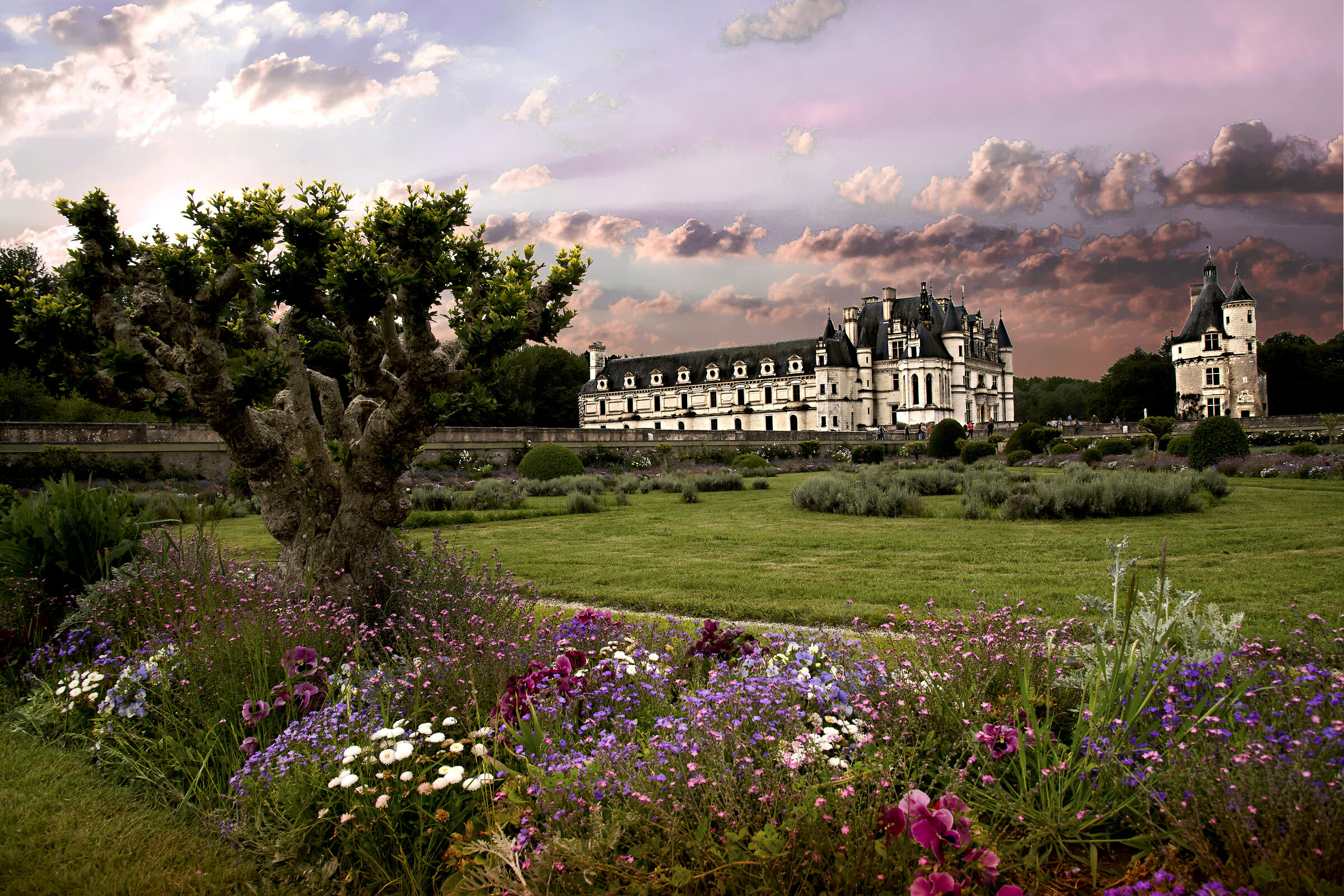 castello di chenonceau