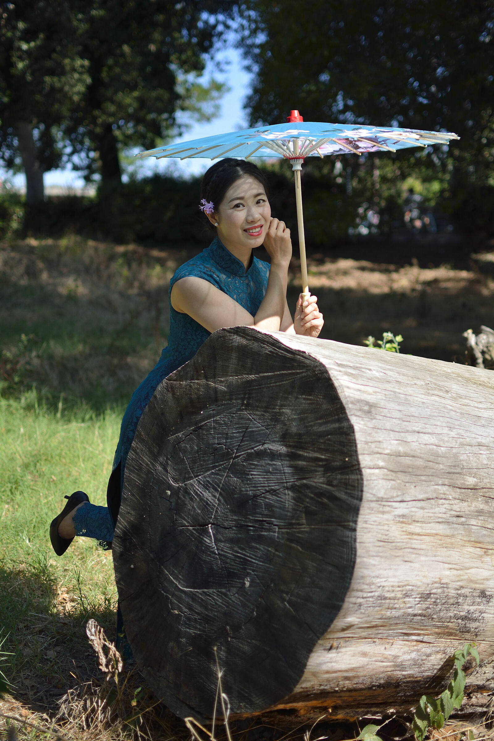 Il bosco delle fate ...