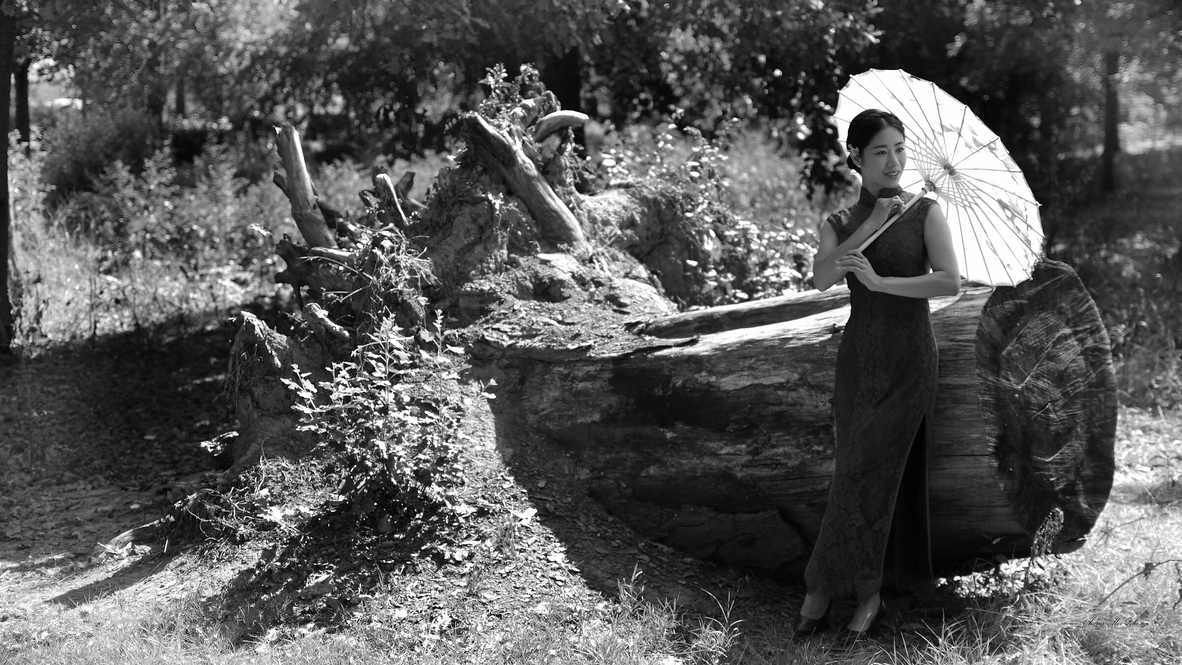 La foresta incantata