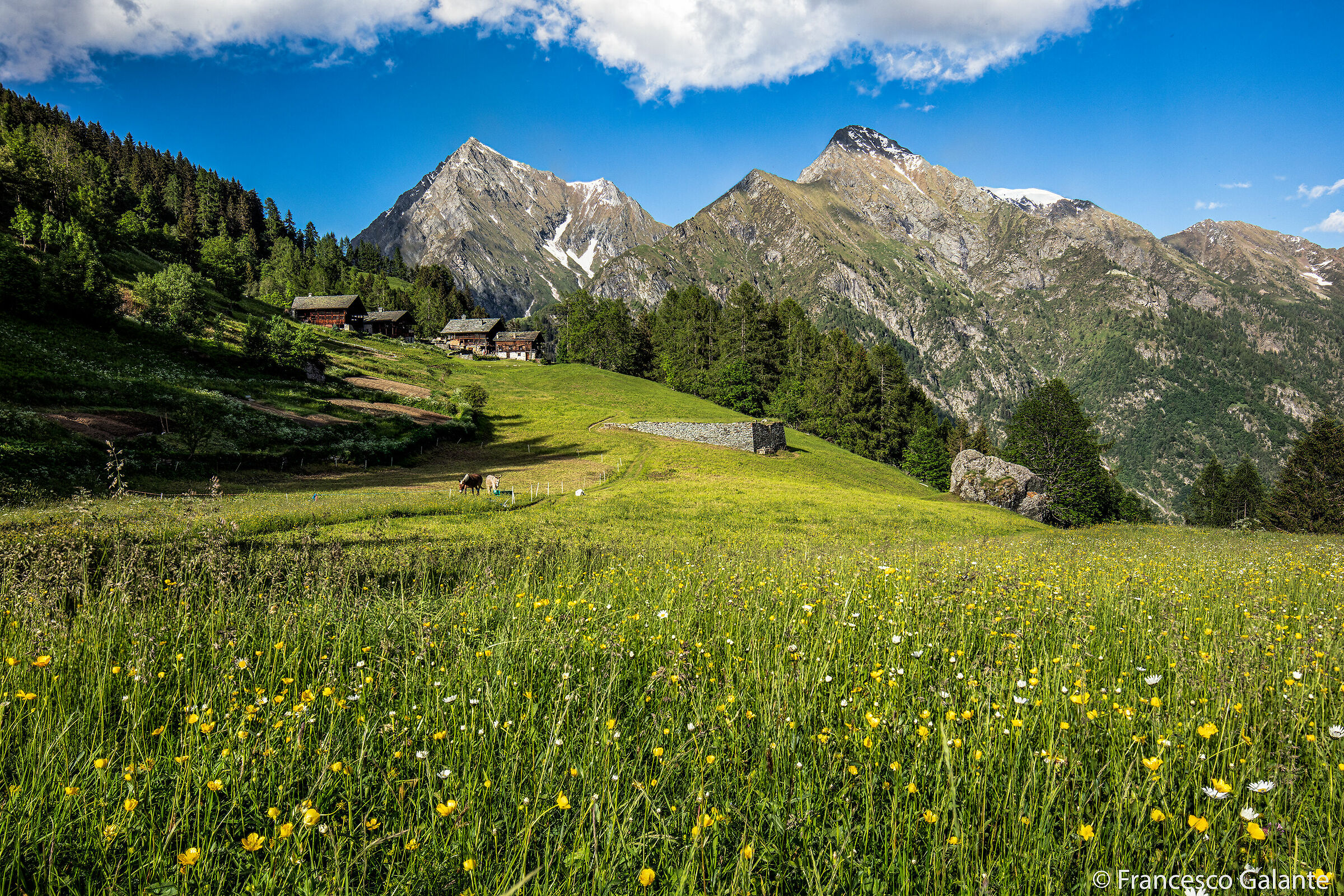 Alagna Valsesia - Val D'Otro 1