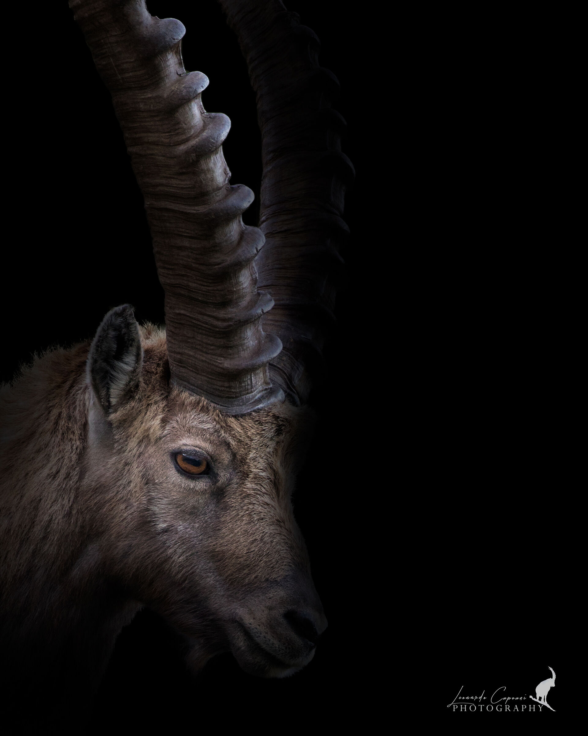 there's something in the shadows/Something in the shadow