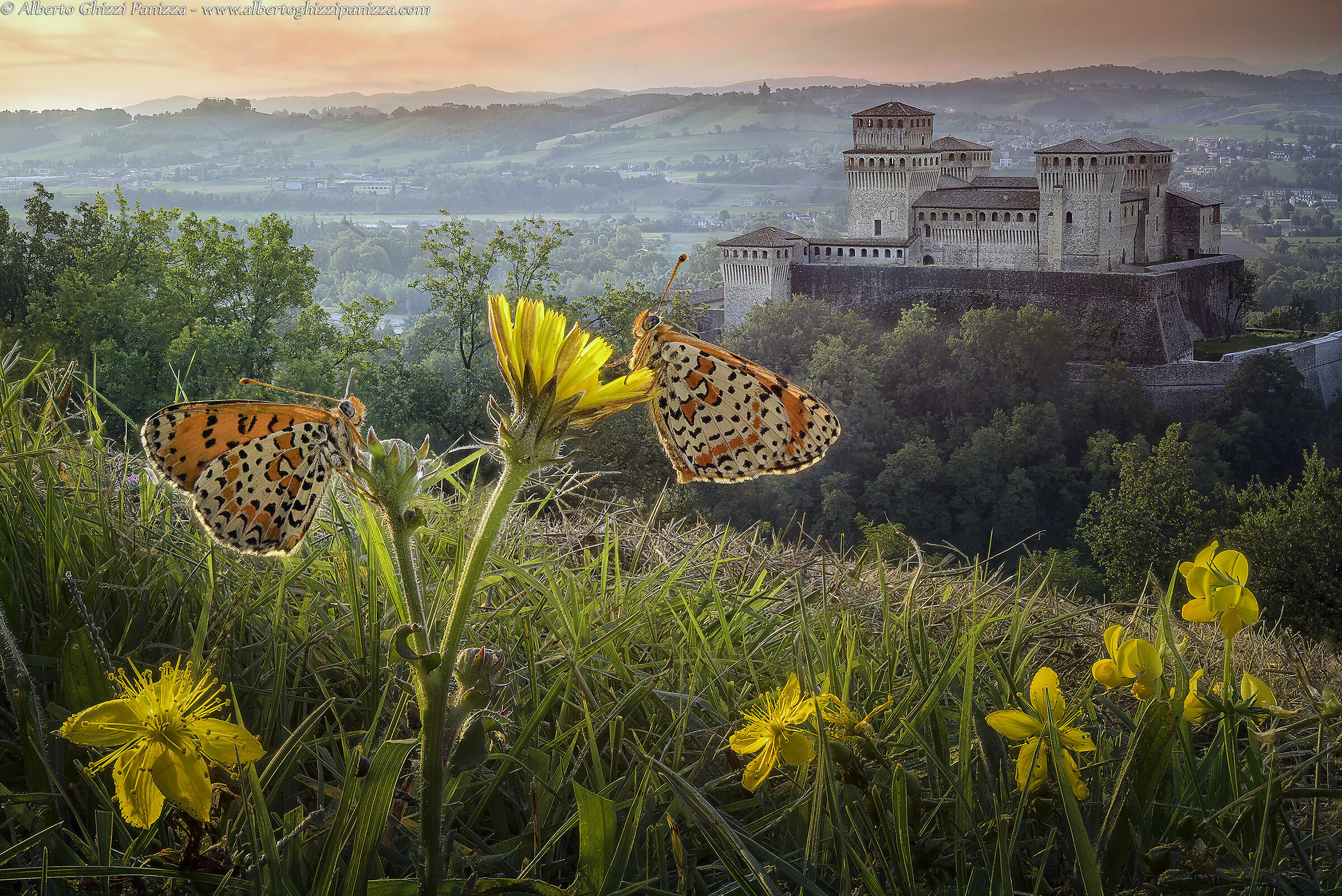 Il risveglio della natura a Torrechiara