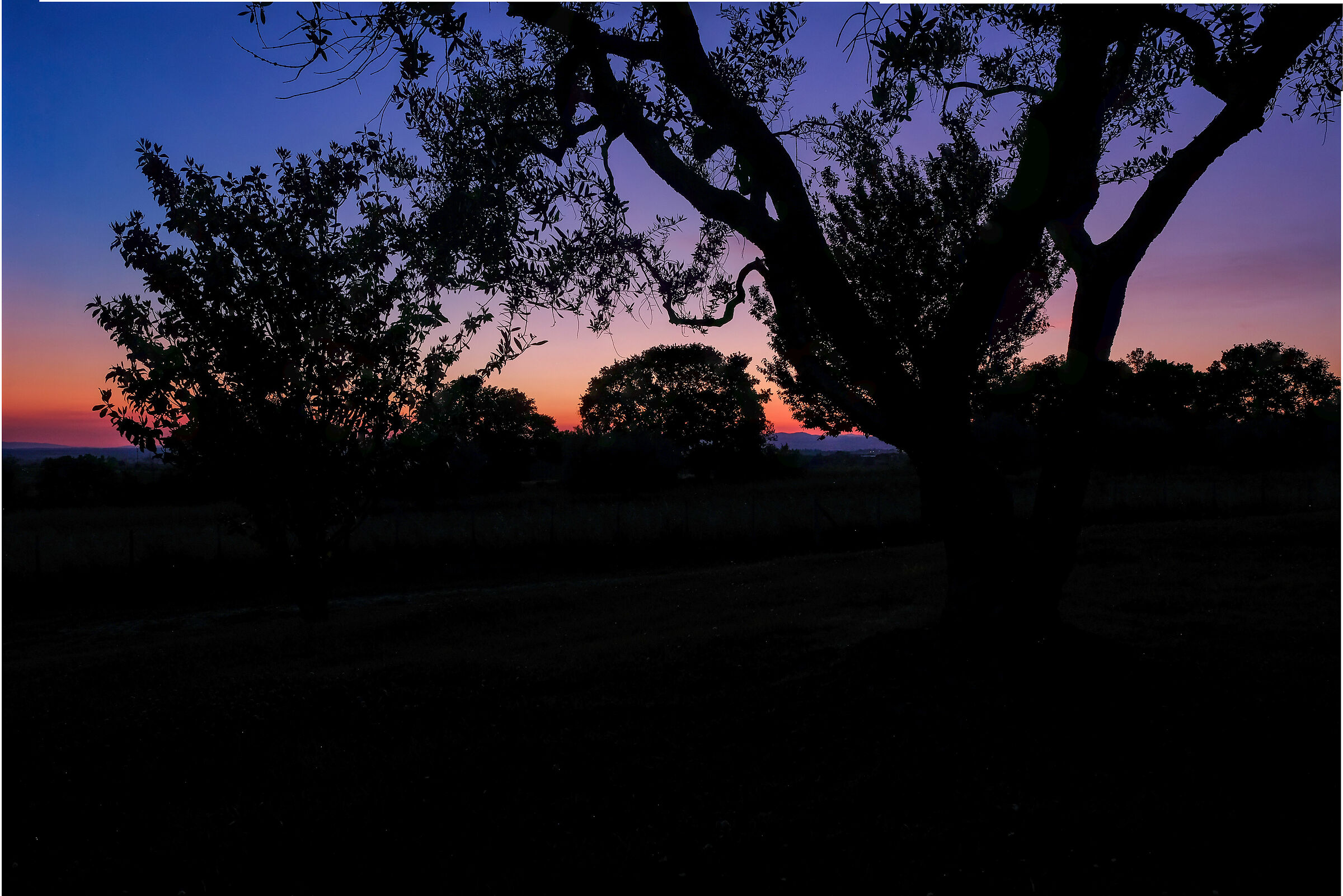 Colori tramonto