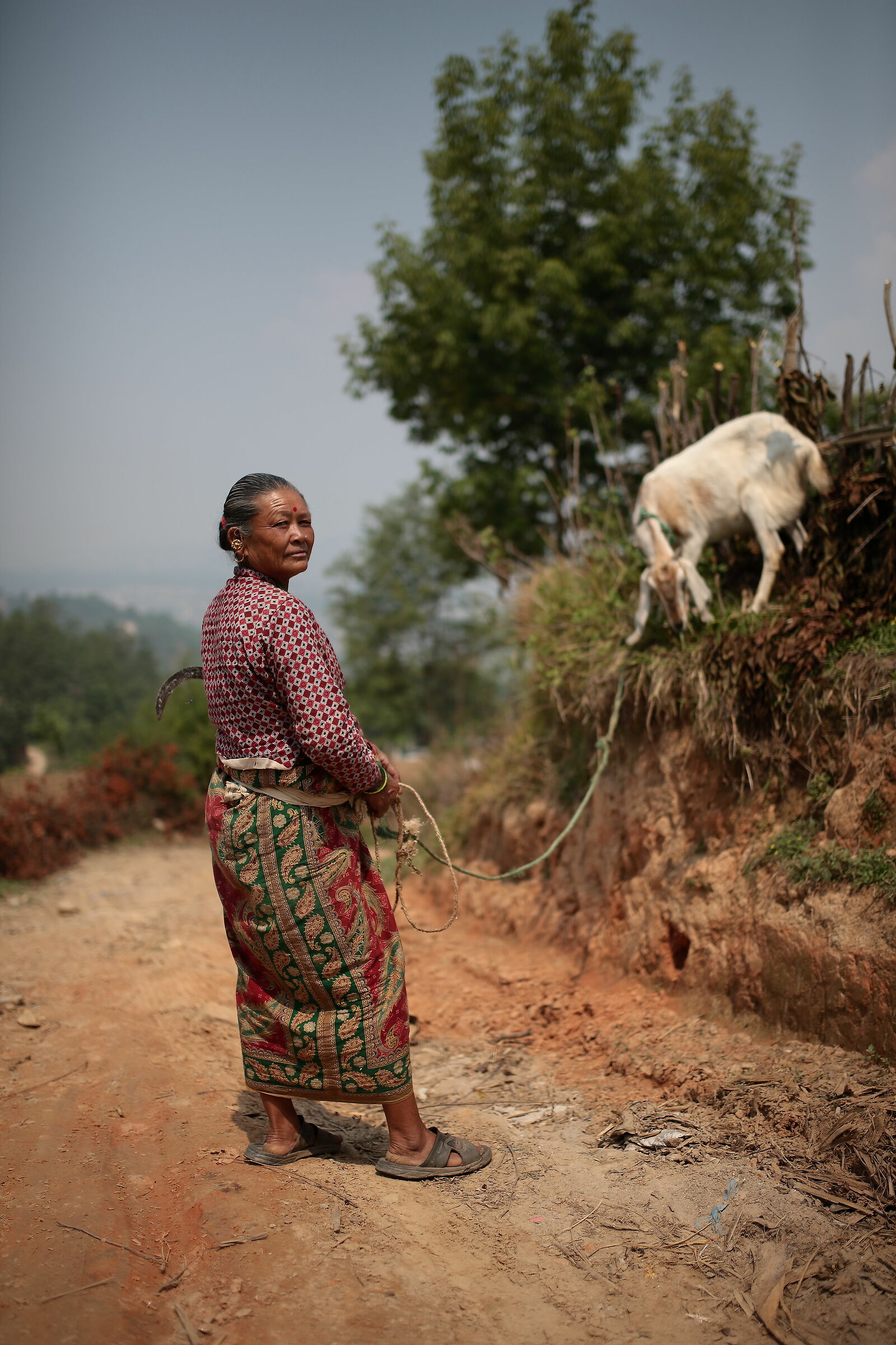 La campagna nepalese