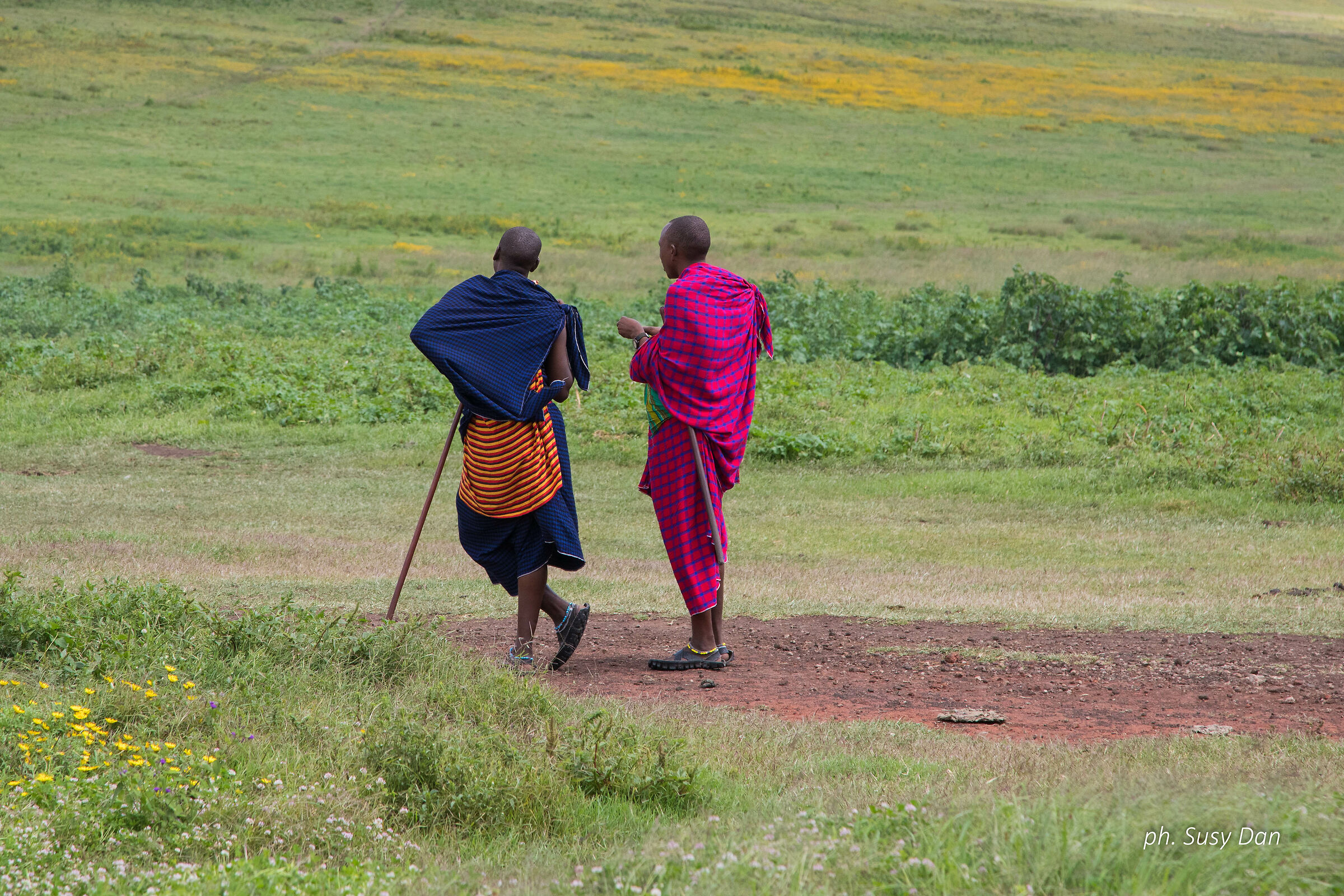 Maasai shepherds