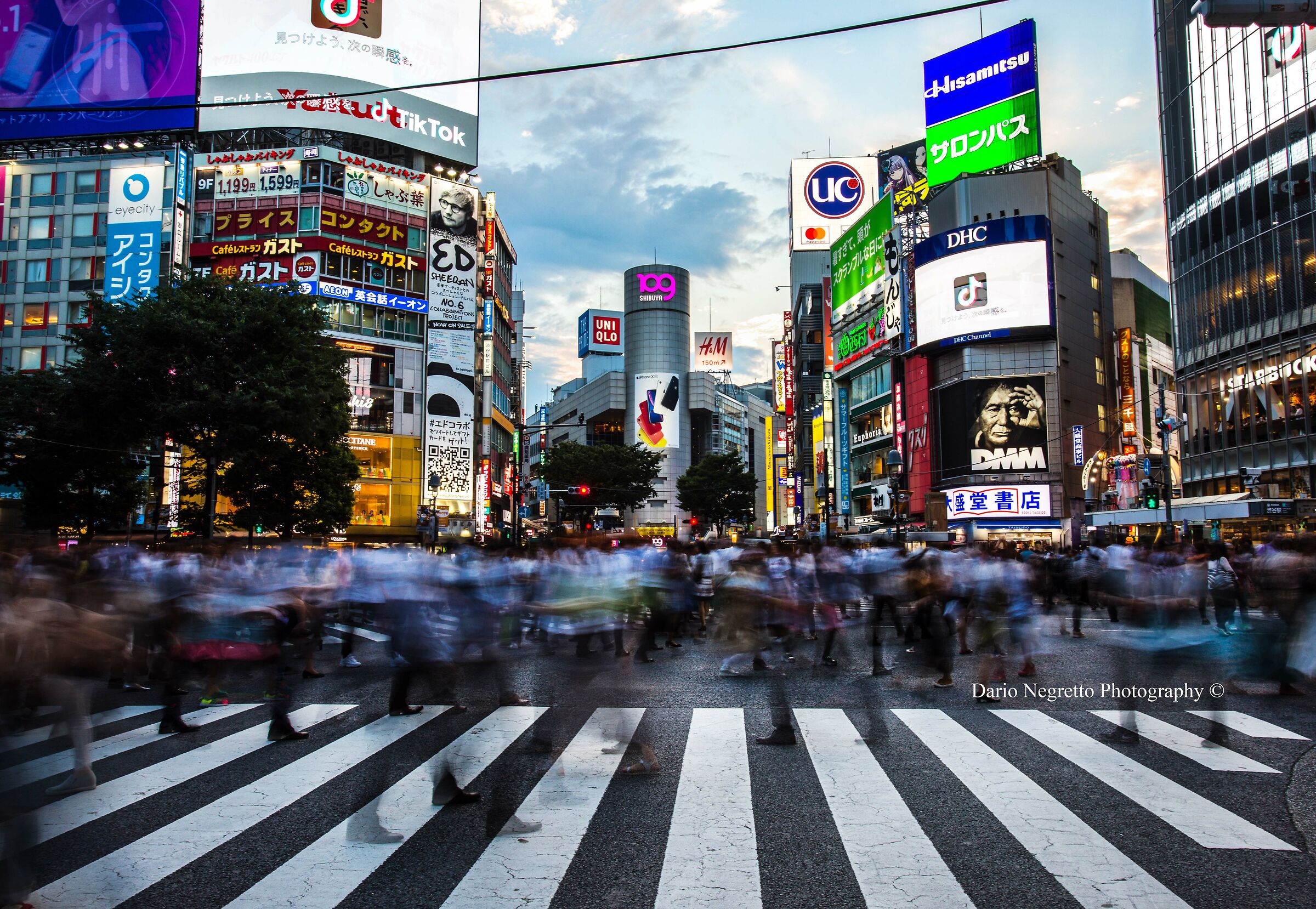 Shibuya Crossing