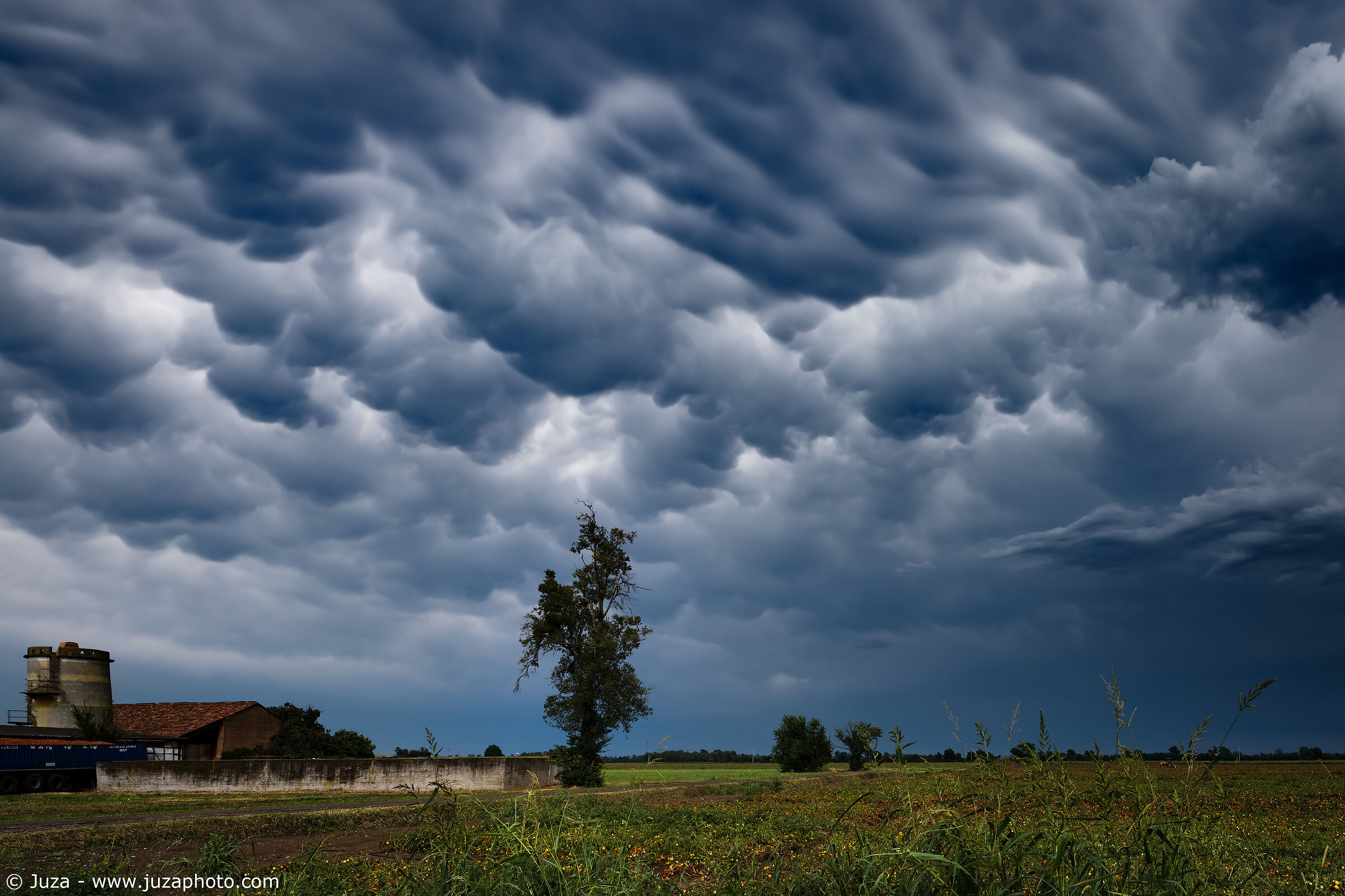 Mammatus Clouds