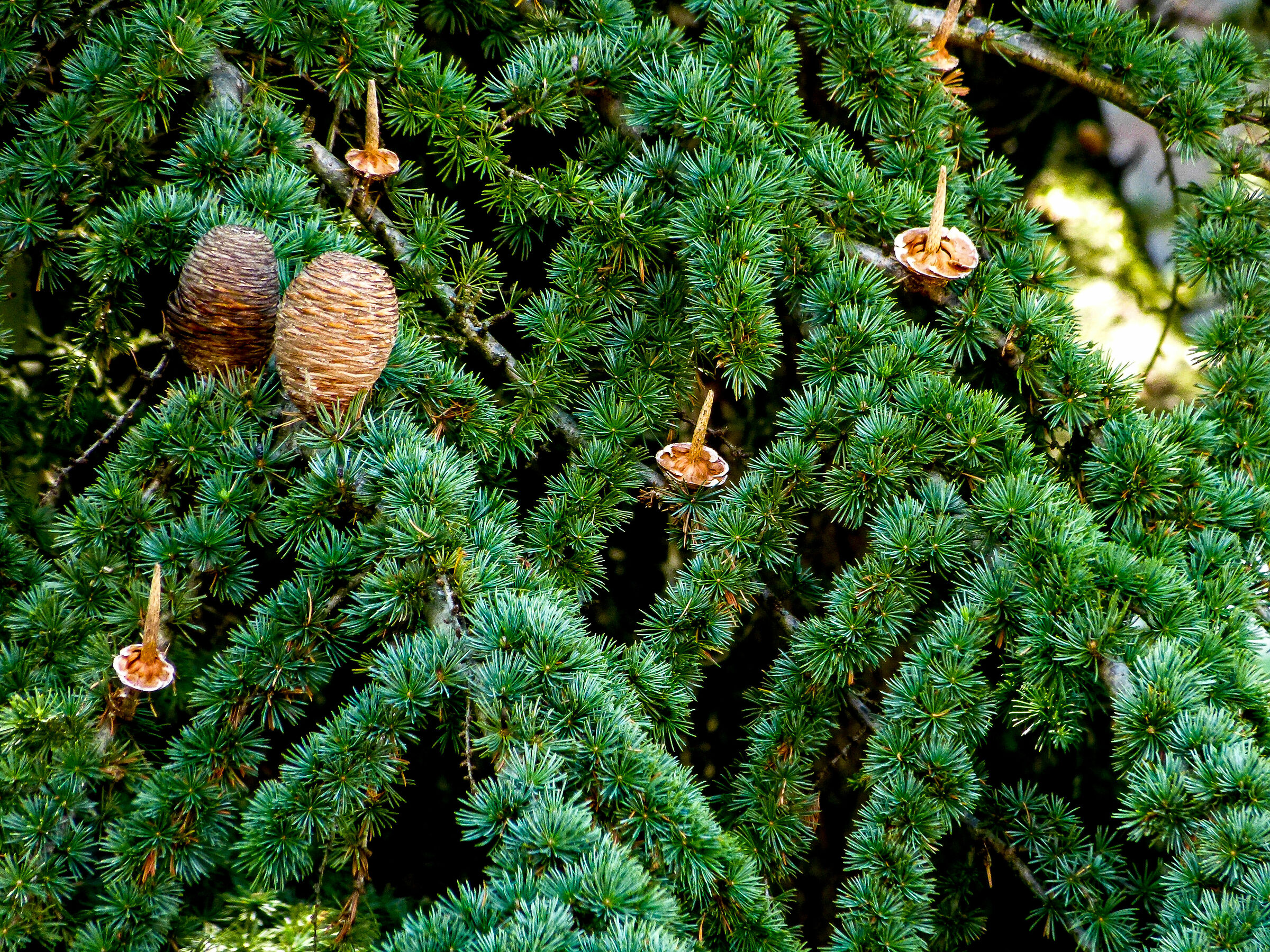 Dalla finestra della camera