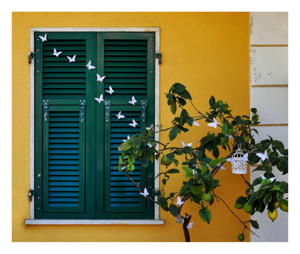 Quadretto urbano - Tellaro (sp)