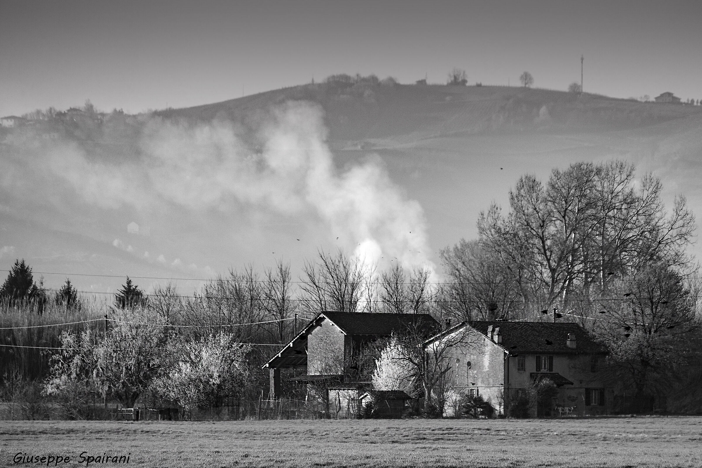 inizio primavera in b/n