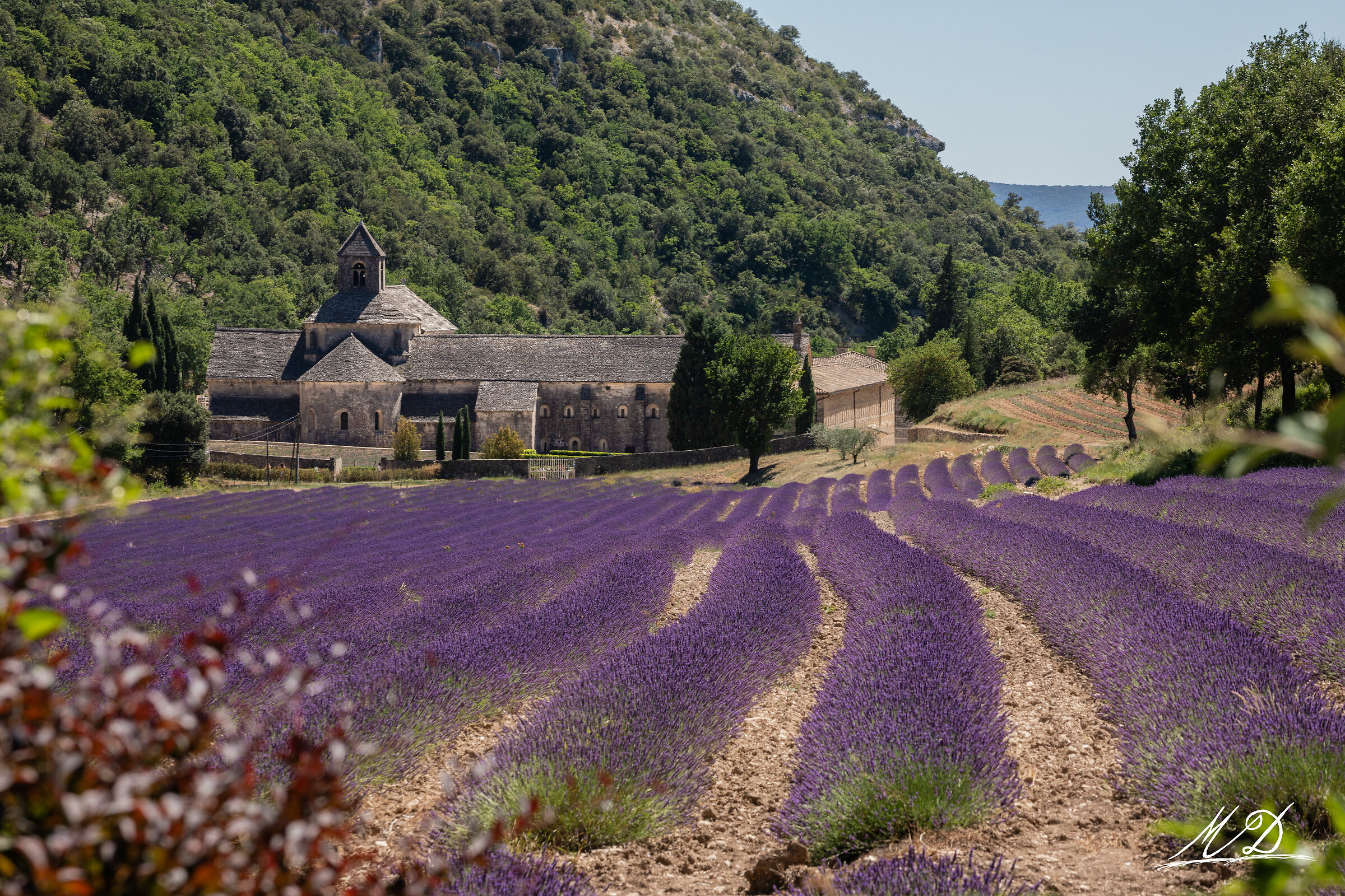 Monastero nei fiori