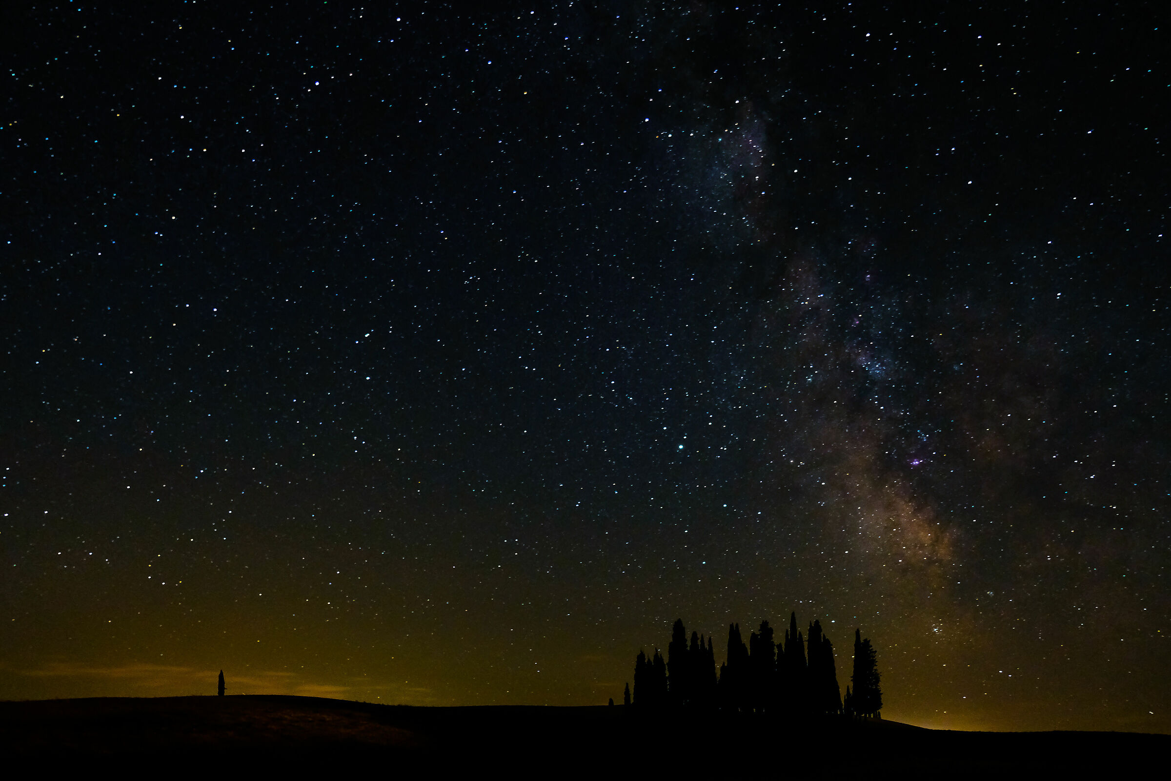Cipressini in Val D'orcia