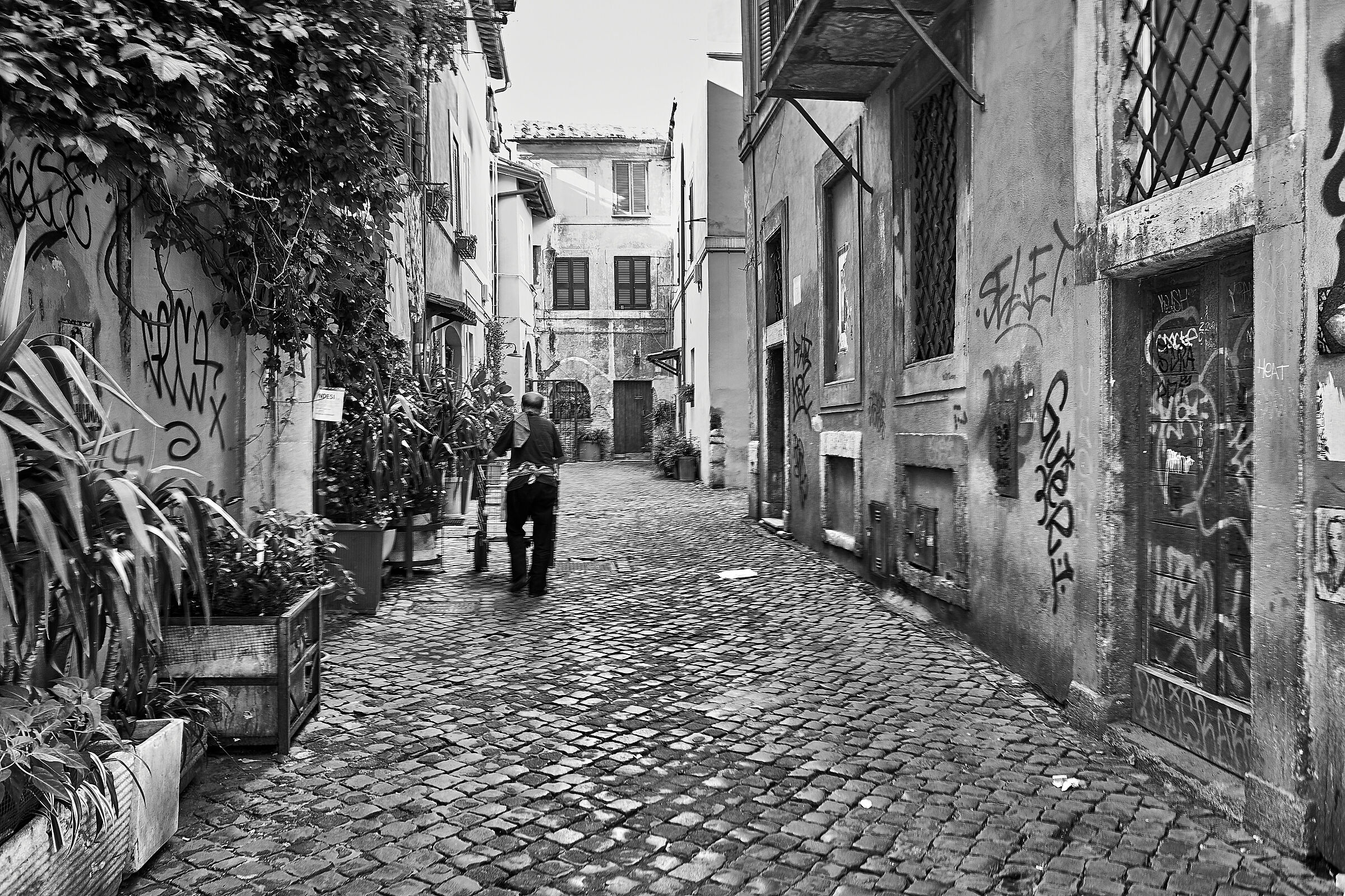 Trastevere Tower Lane