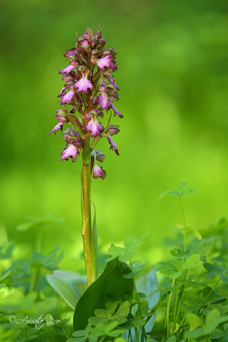 A happy New Year to all