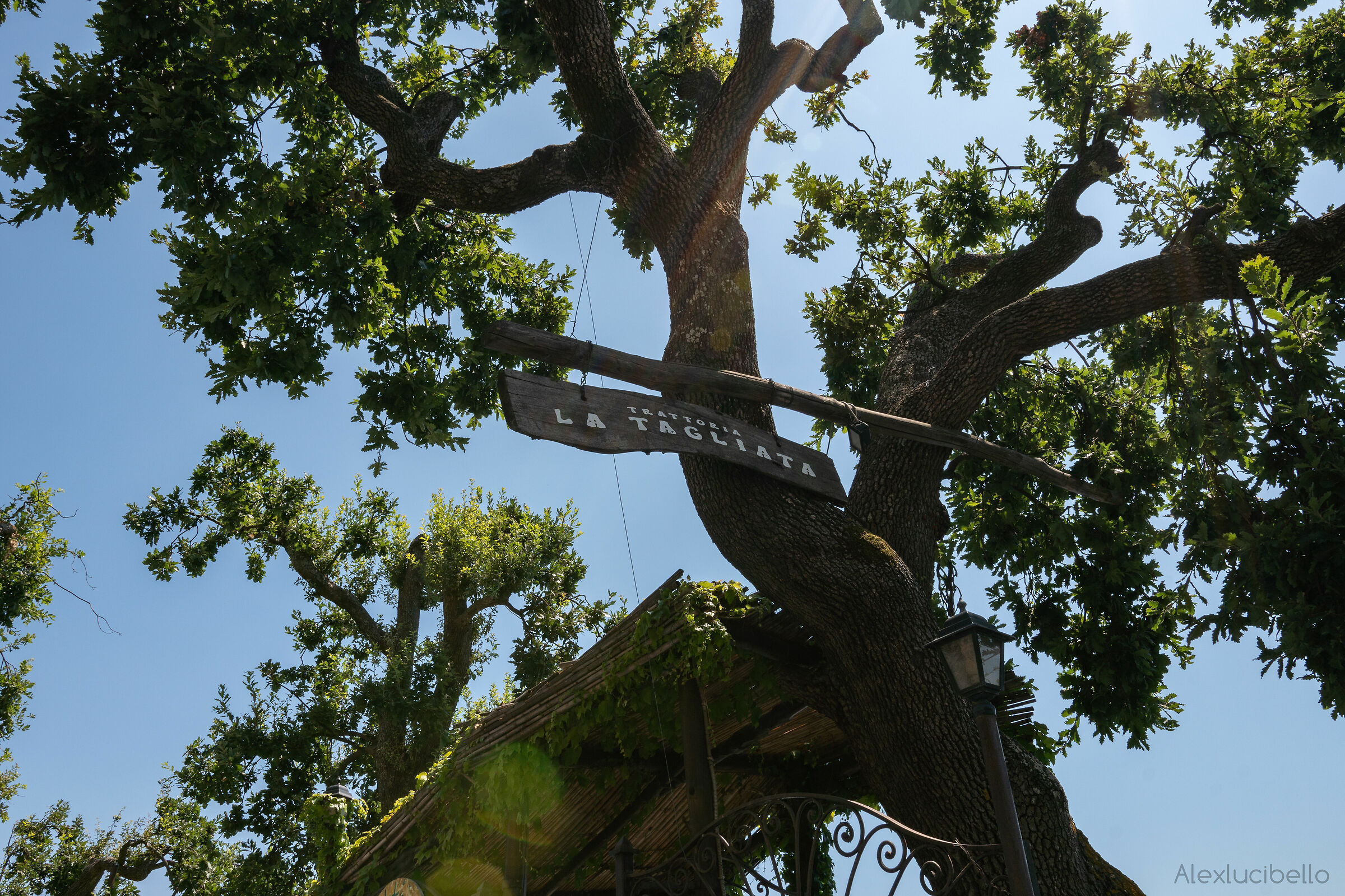 Under the sun's rays