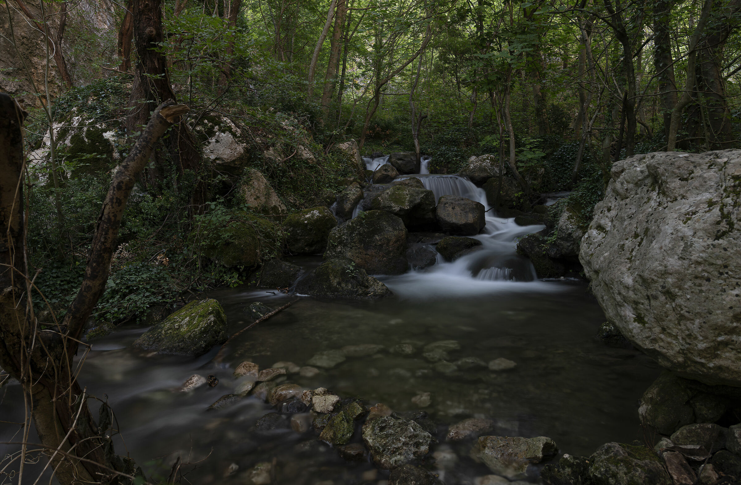Sottobosco Itinerario 18 Gole del Sagittario