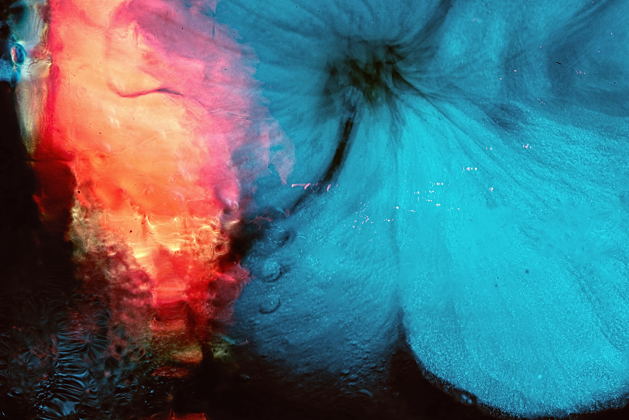 Spirits of the oceans