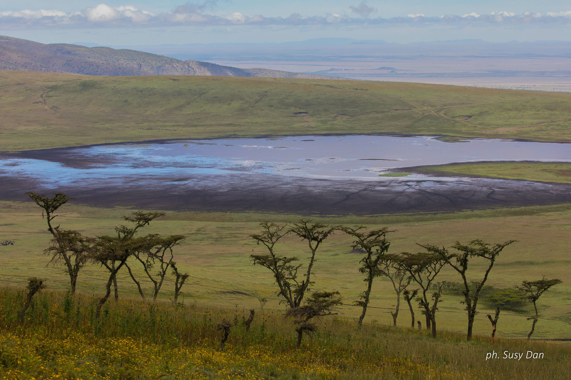 Ngorongoro crater