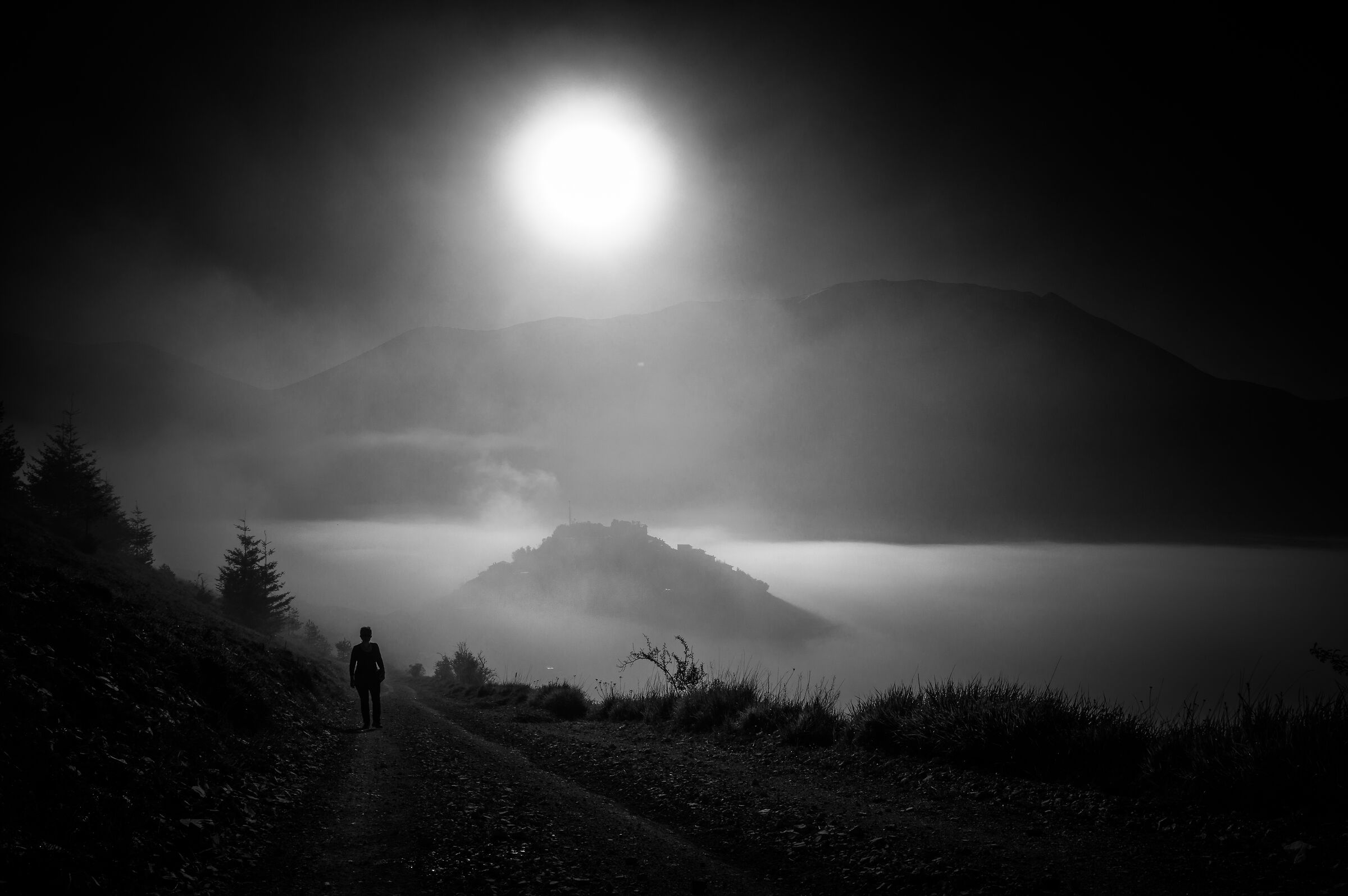 Dalla notte alla luce