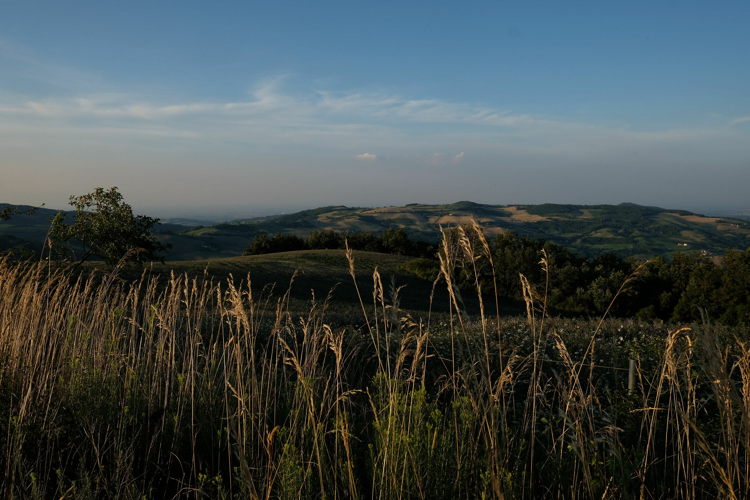 Listen to the silence