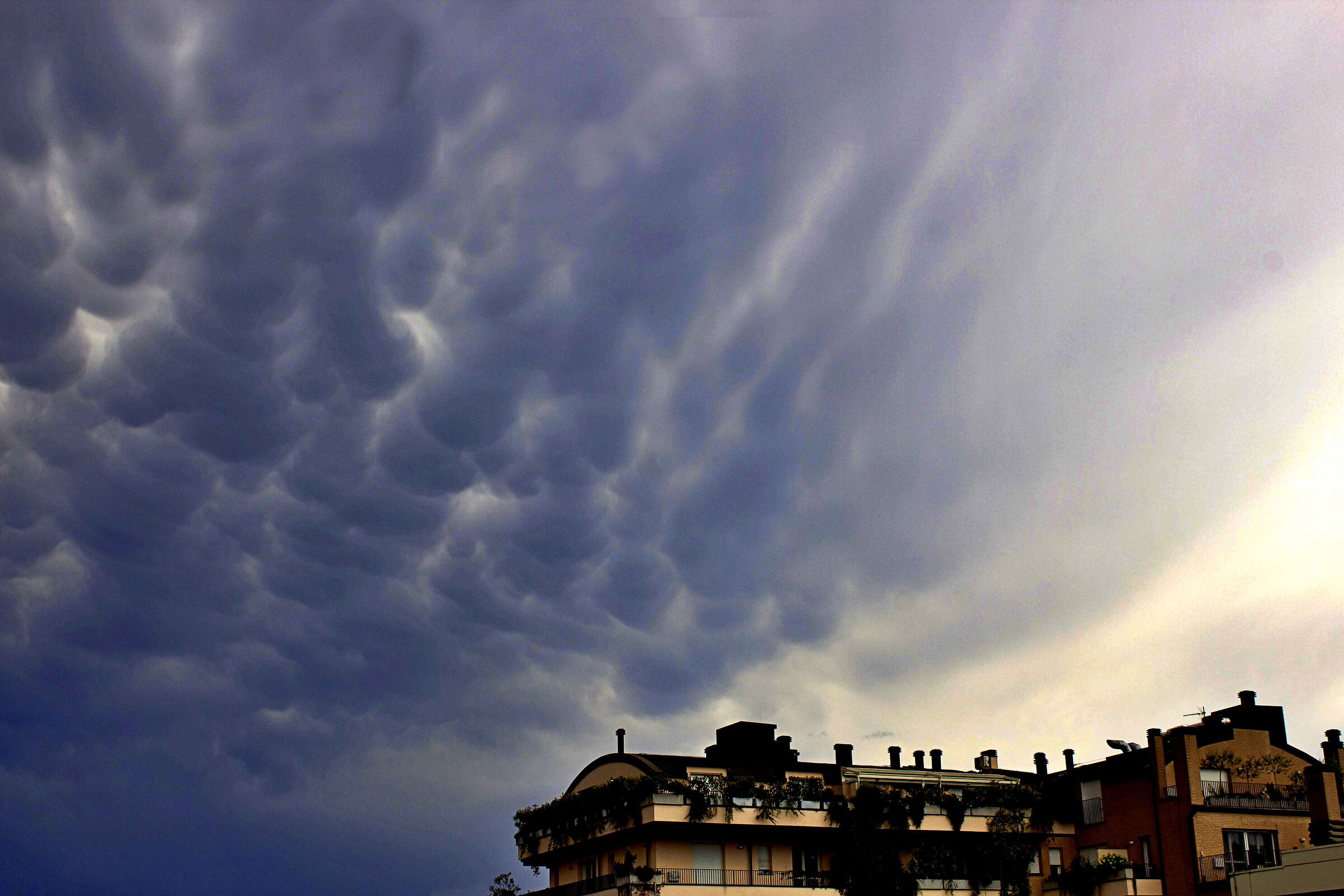 Mammatus
