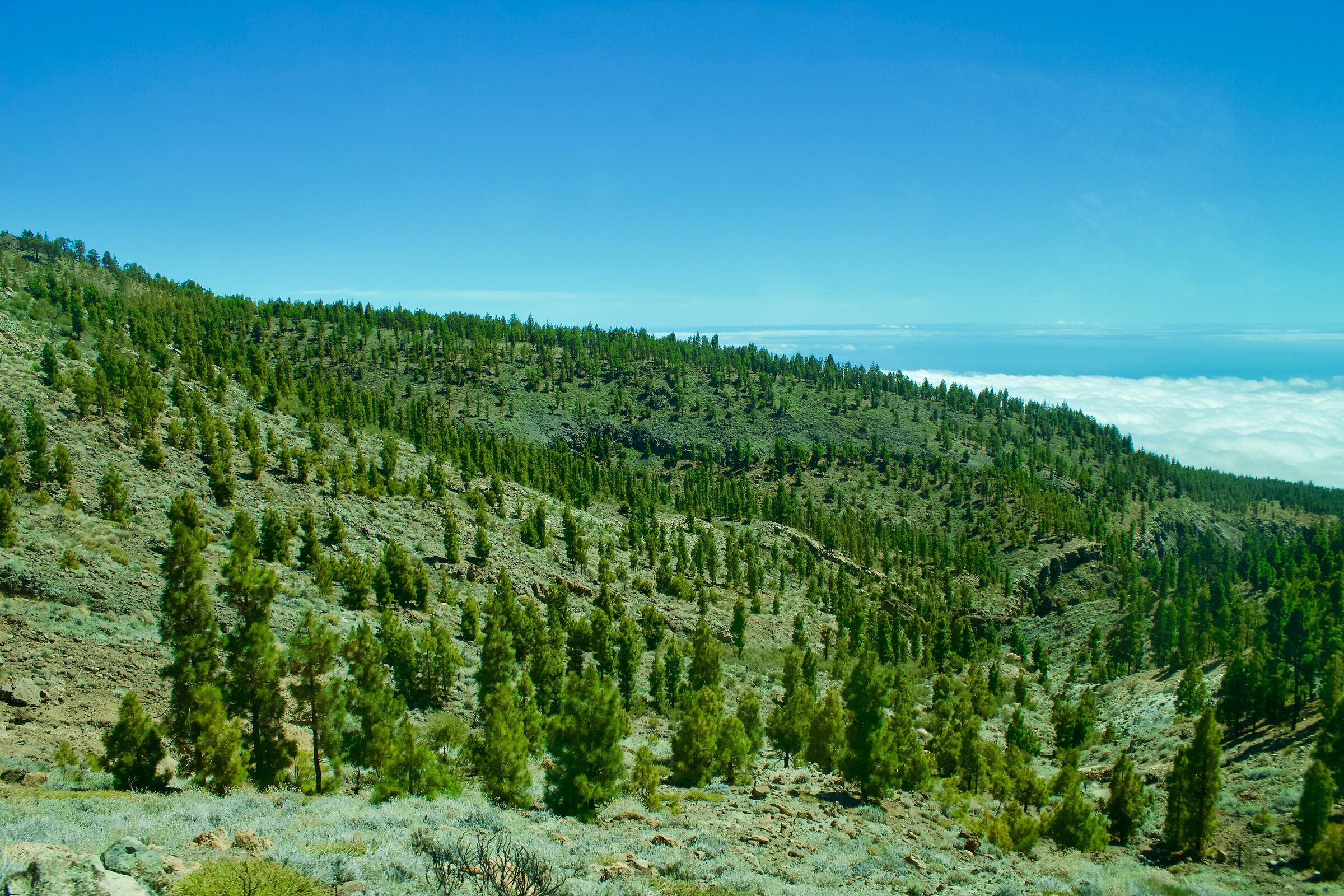 Corona National Park