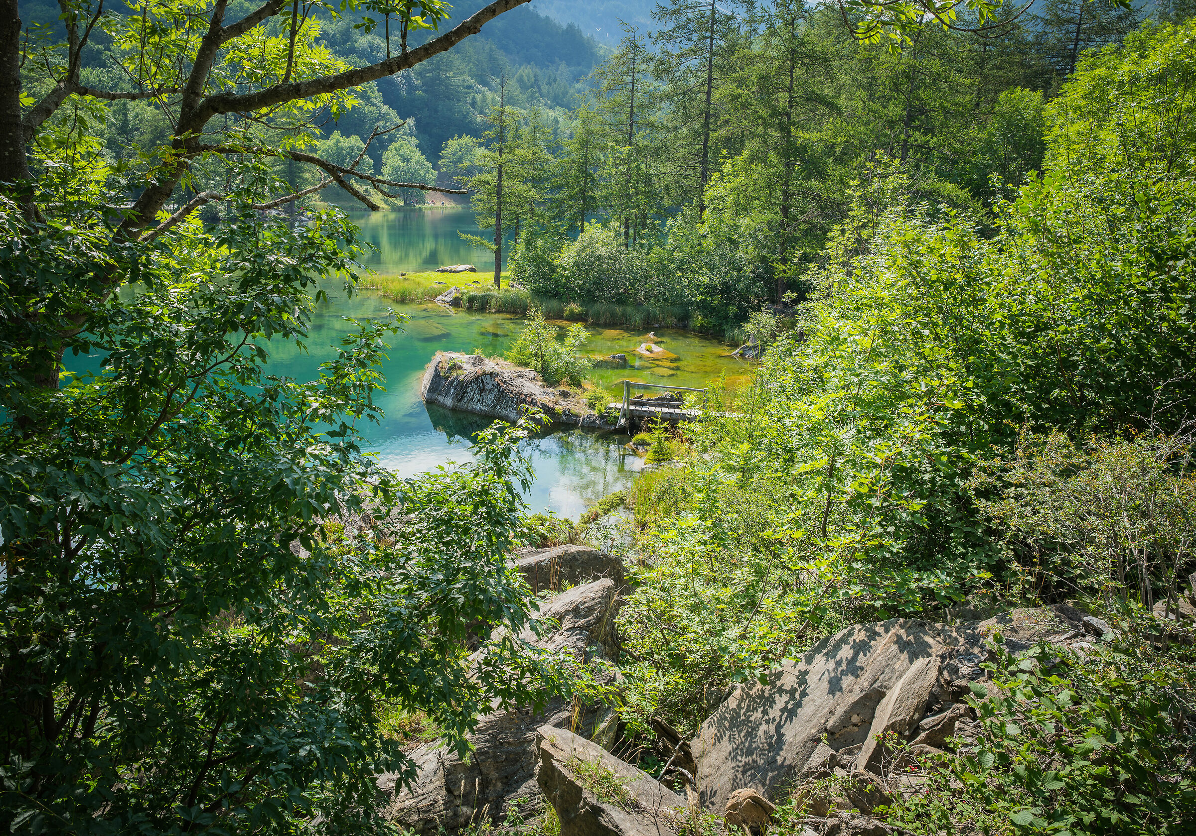 The lake in the woods