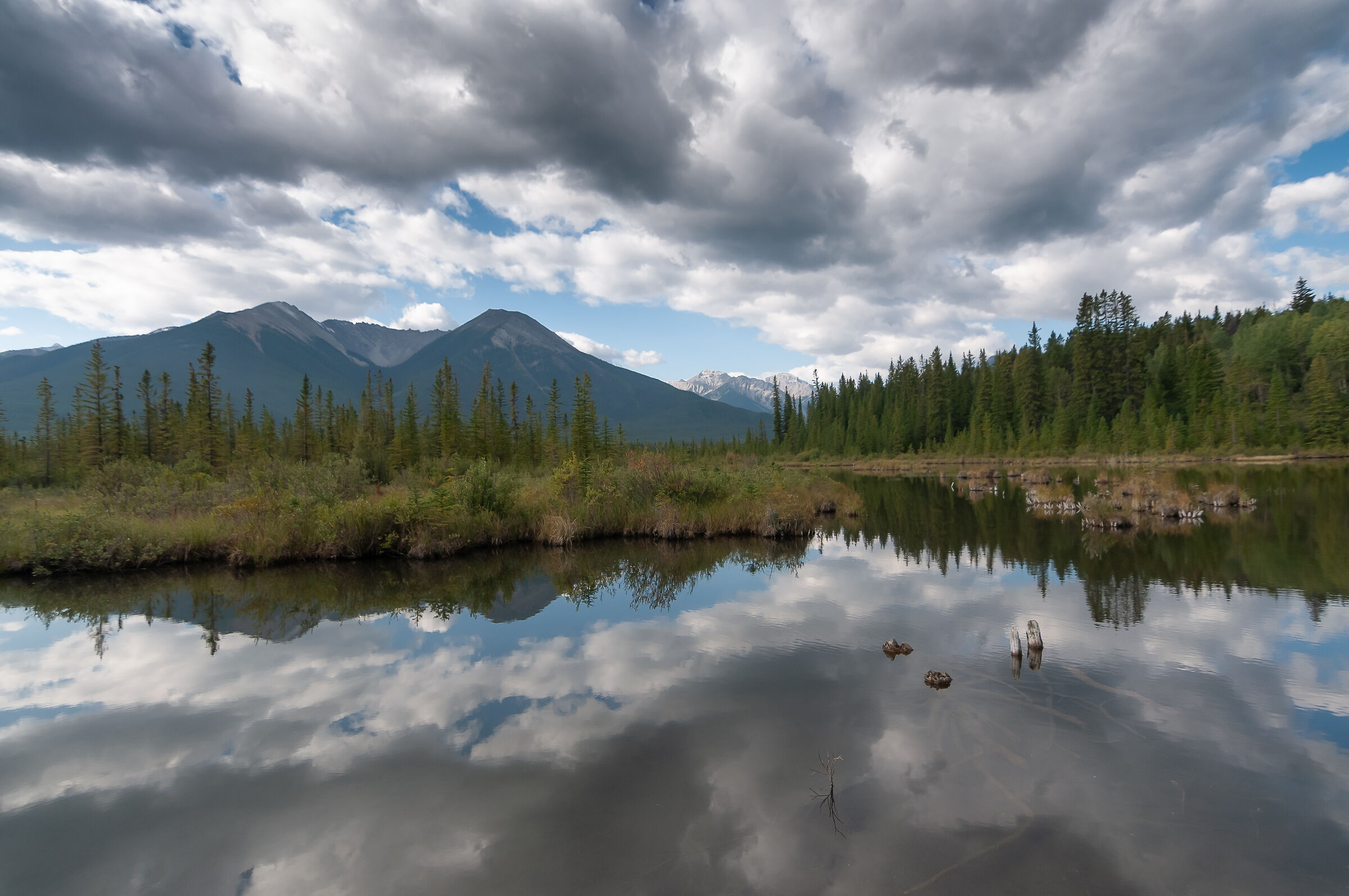 Canadian Reflections