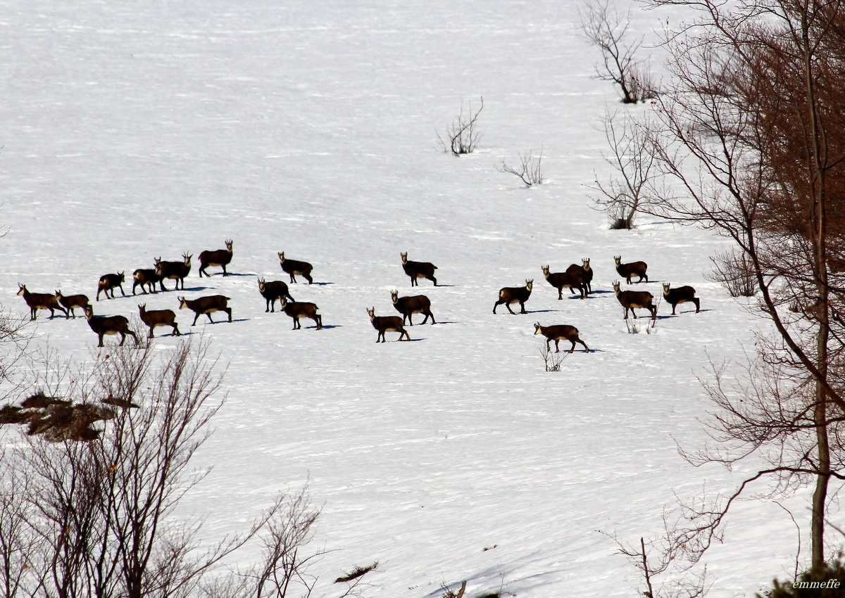 Lontani..., ma sempre un bell'incontro !!!!!