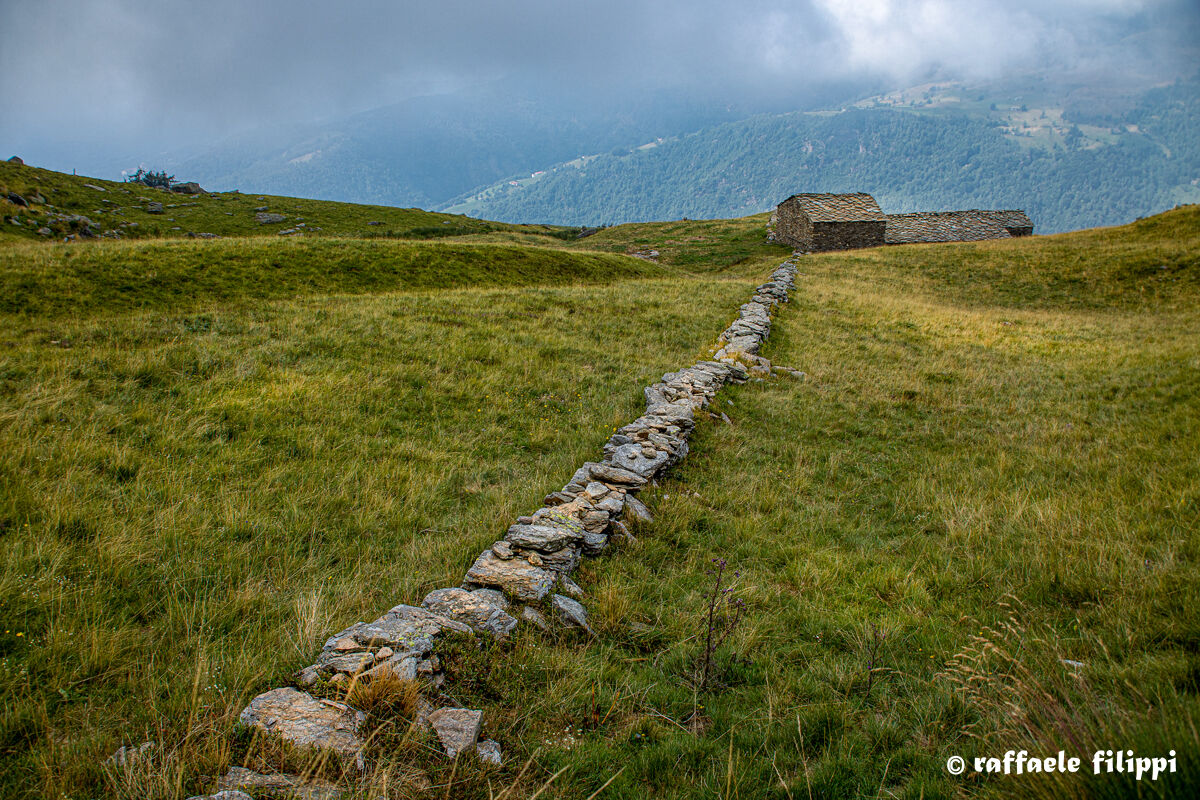 Pastures in the Elvo Valley - Biellese