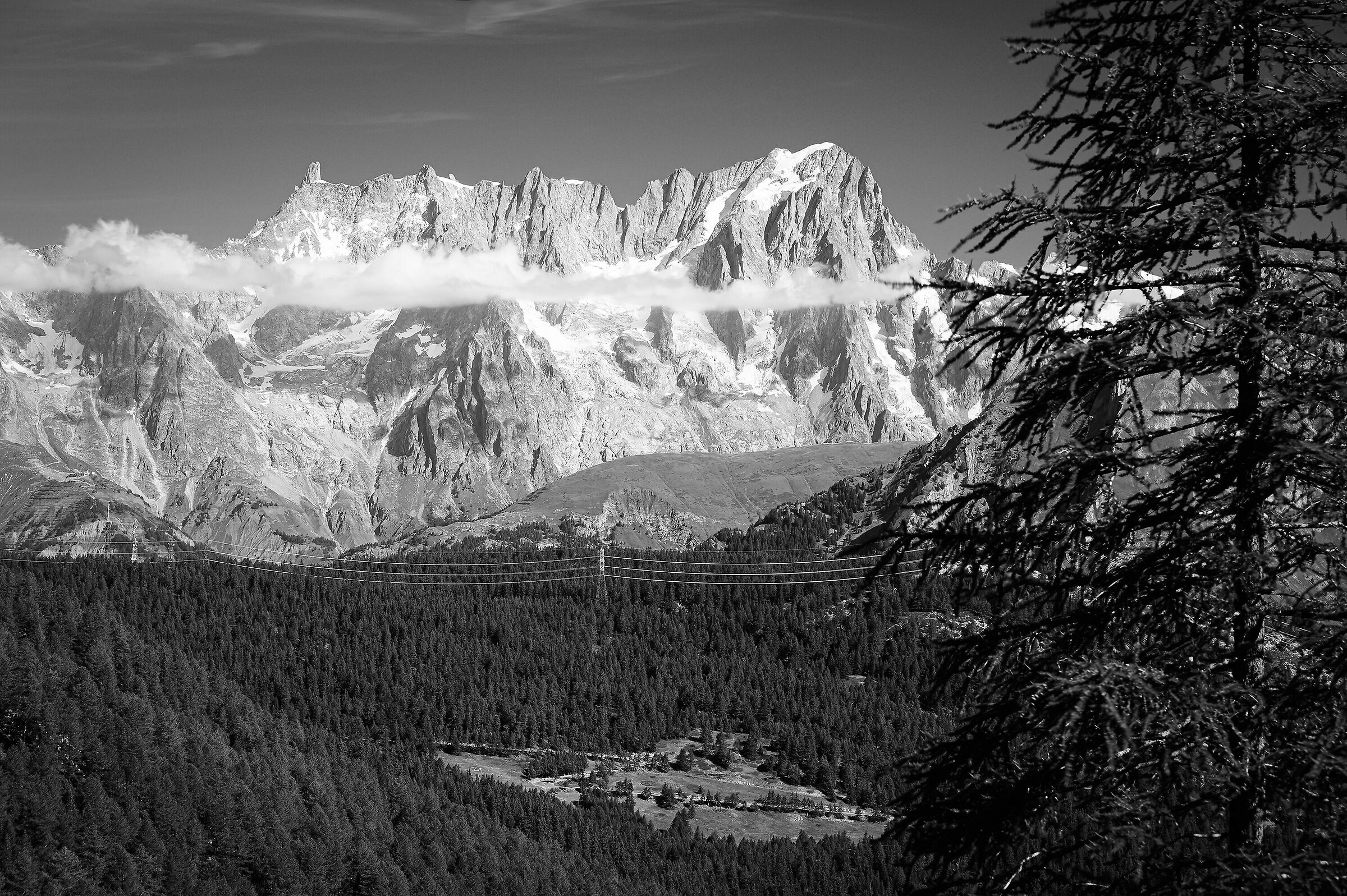 Le vette delle Grand Jorasses, salendo al lago di Arpy.