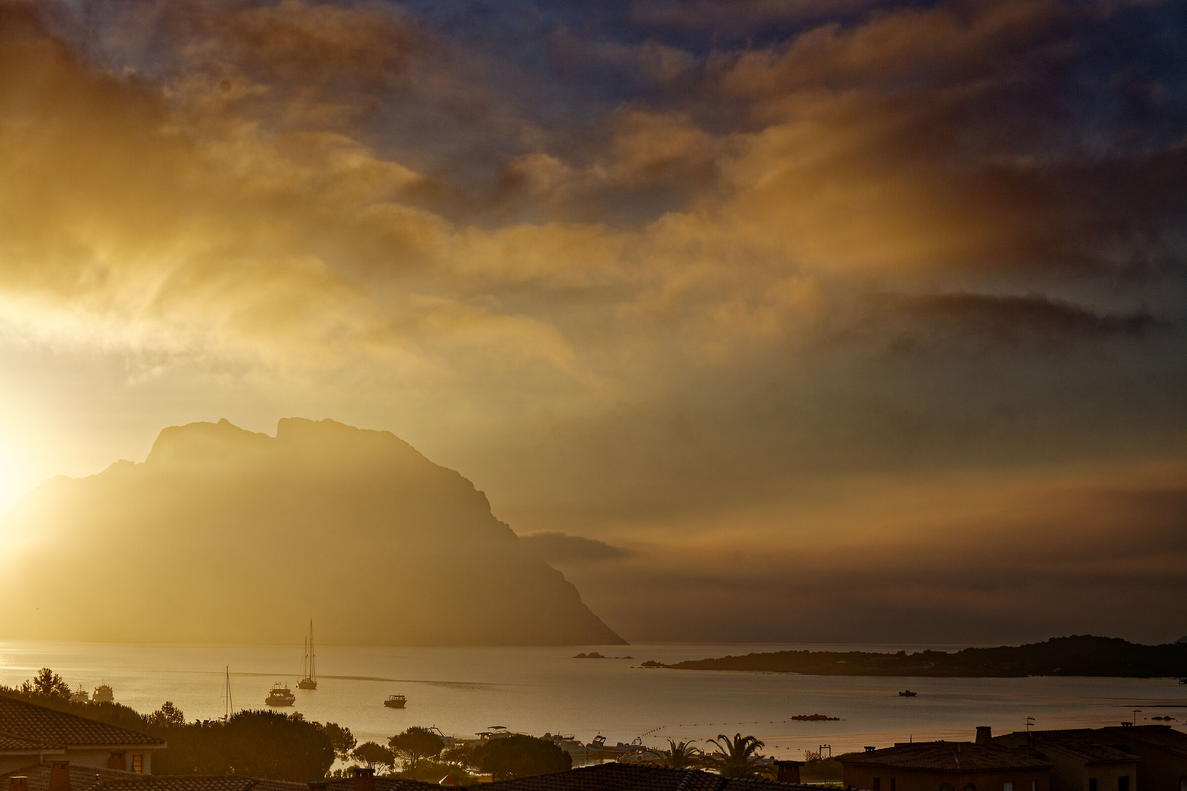 sunrise on the Table