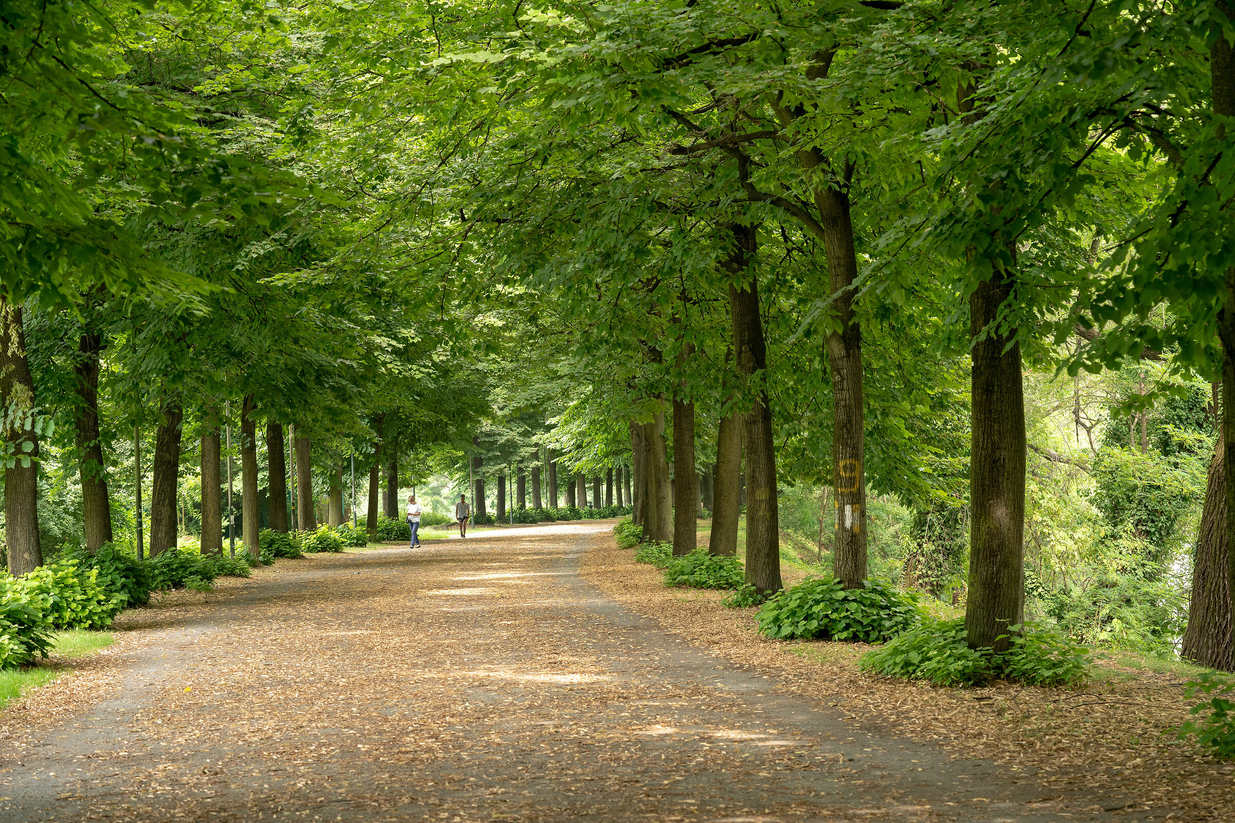 Parco Della Colletta - Torino