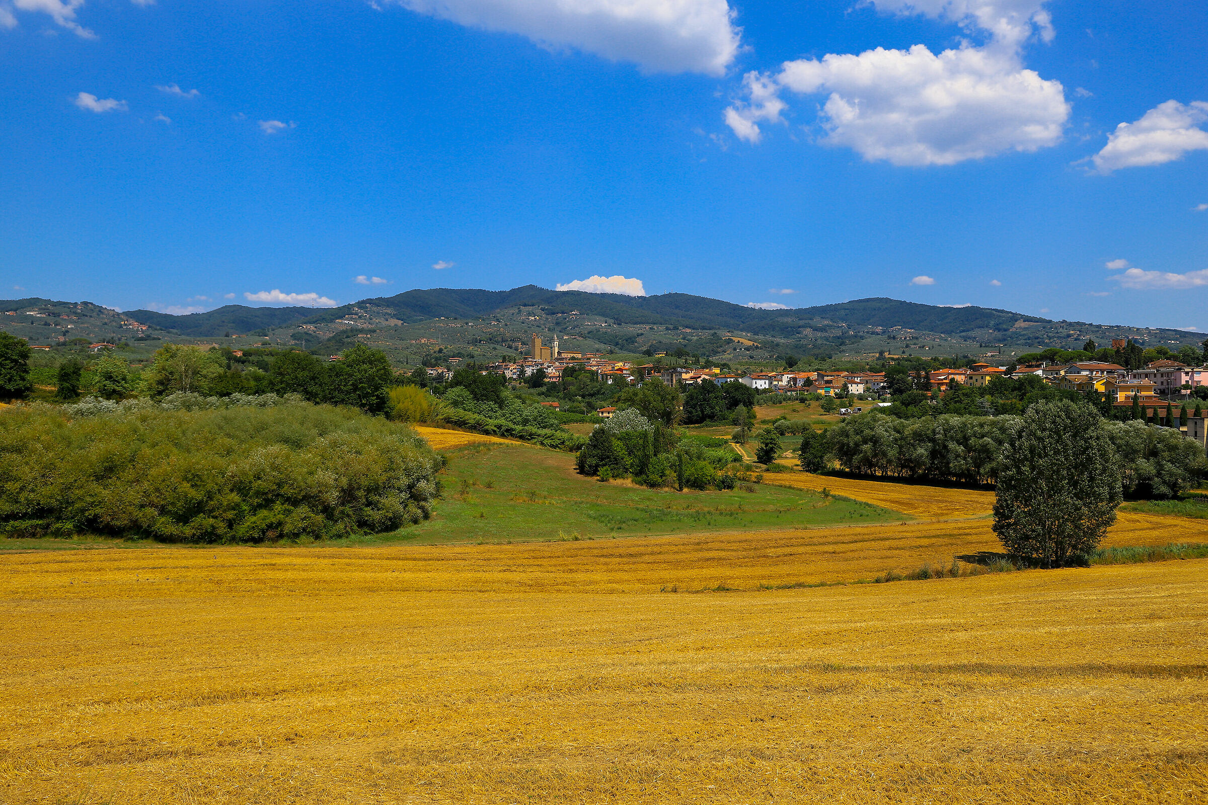 A landscape worthy of genius