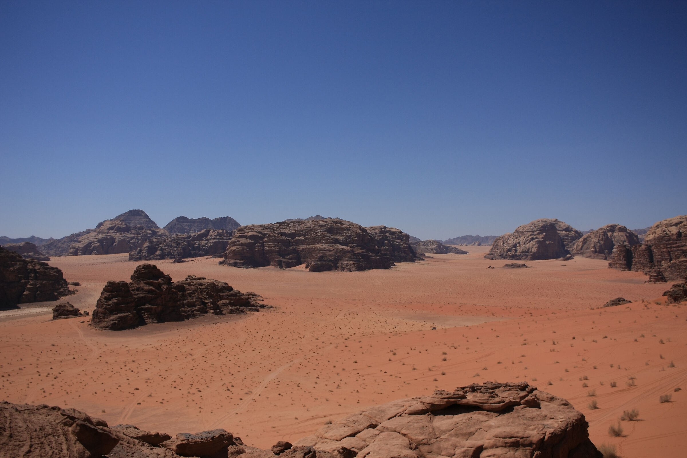 Desert's landscape