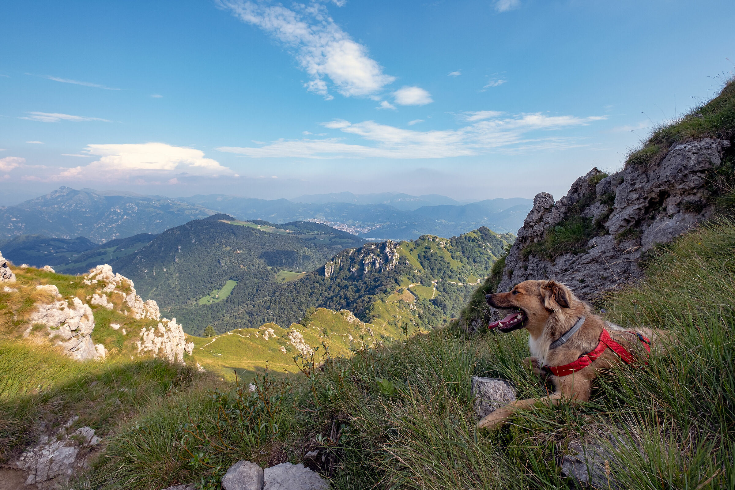 Endlessly aimed looks