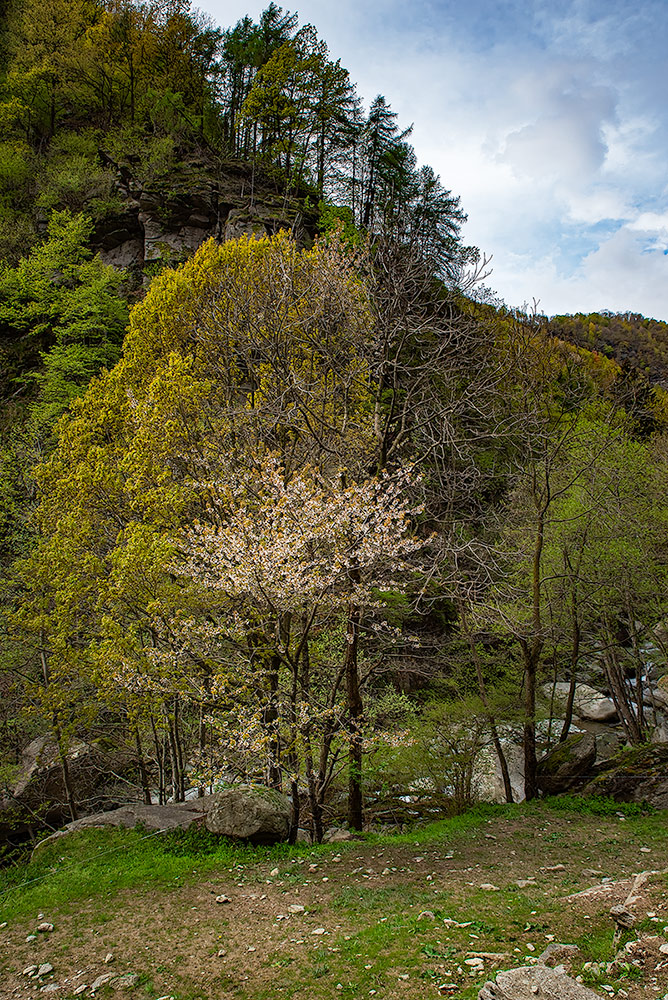 Il gigante addormentato