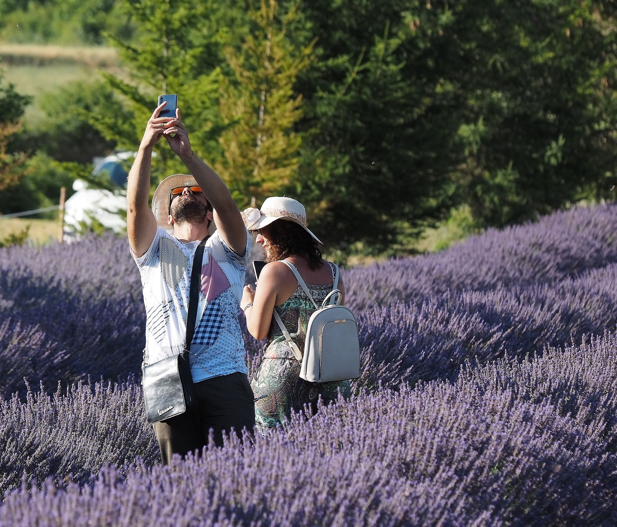 Morano Calabro. Lavender Park