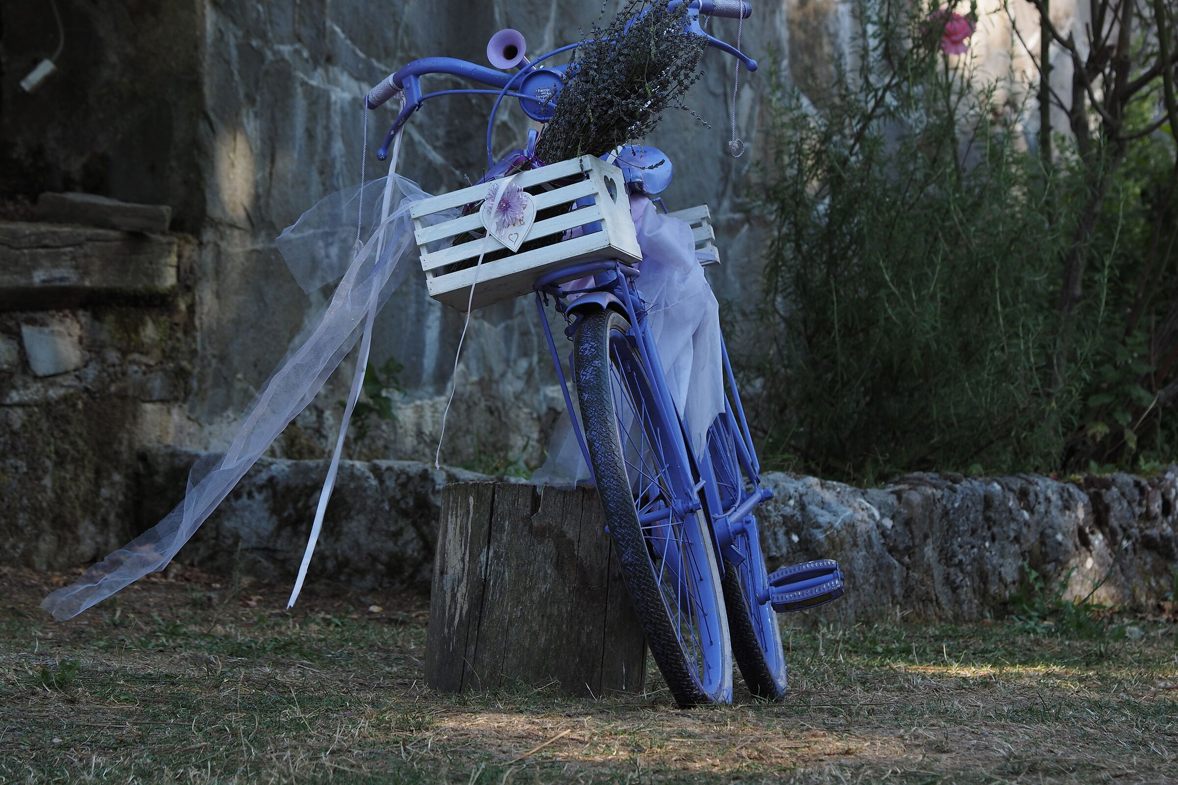 Morano Calabro. Lavender Park