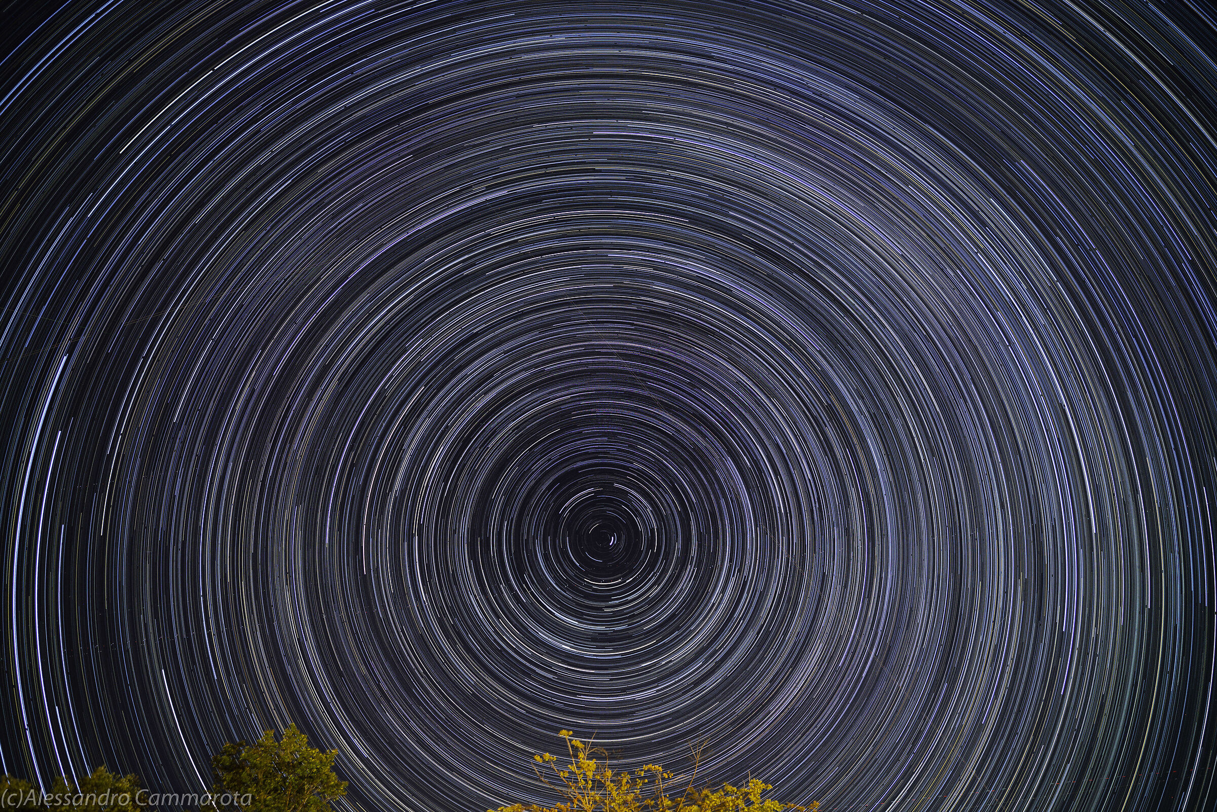 Prova startrail