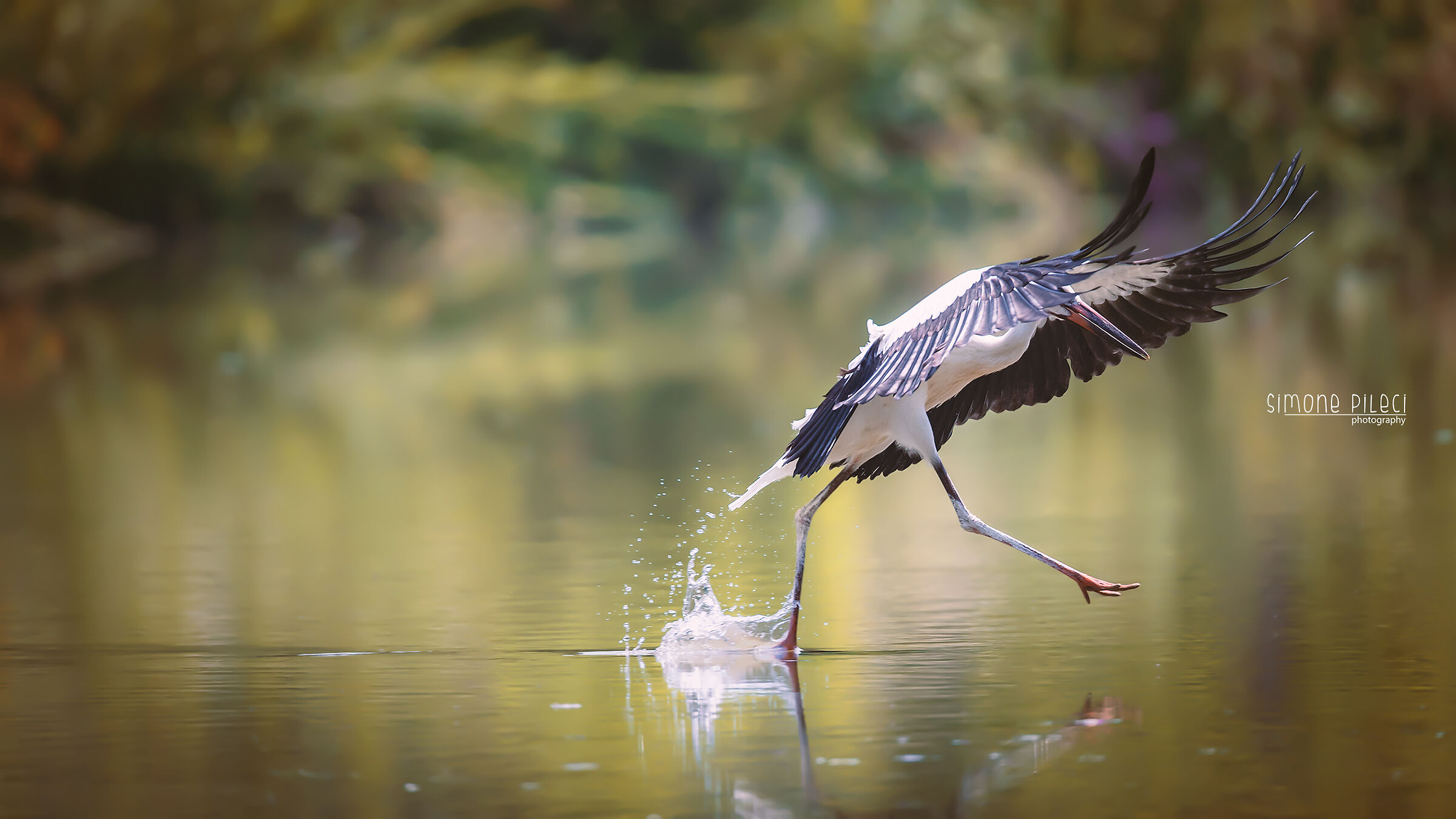 Bisogna essere leggeri