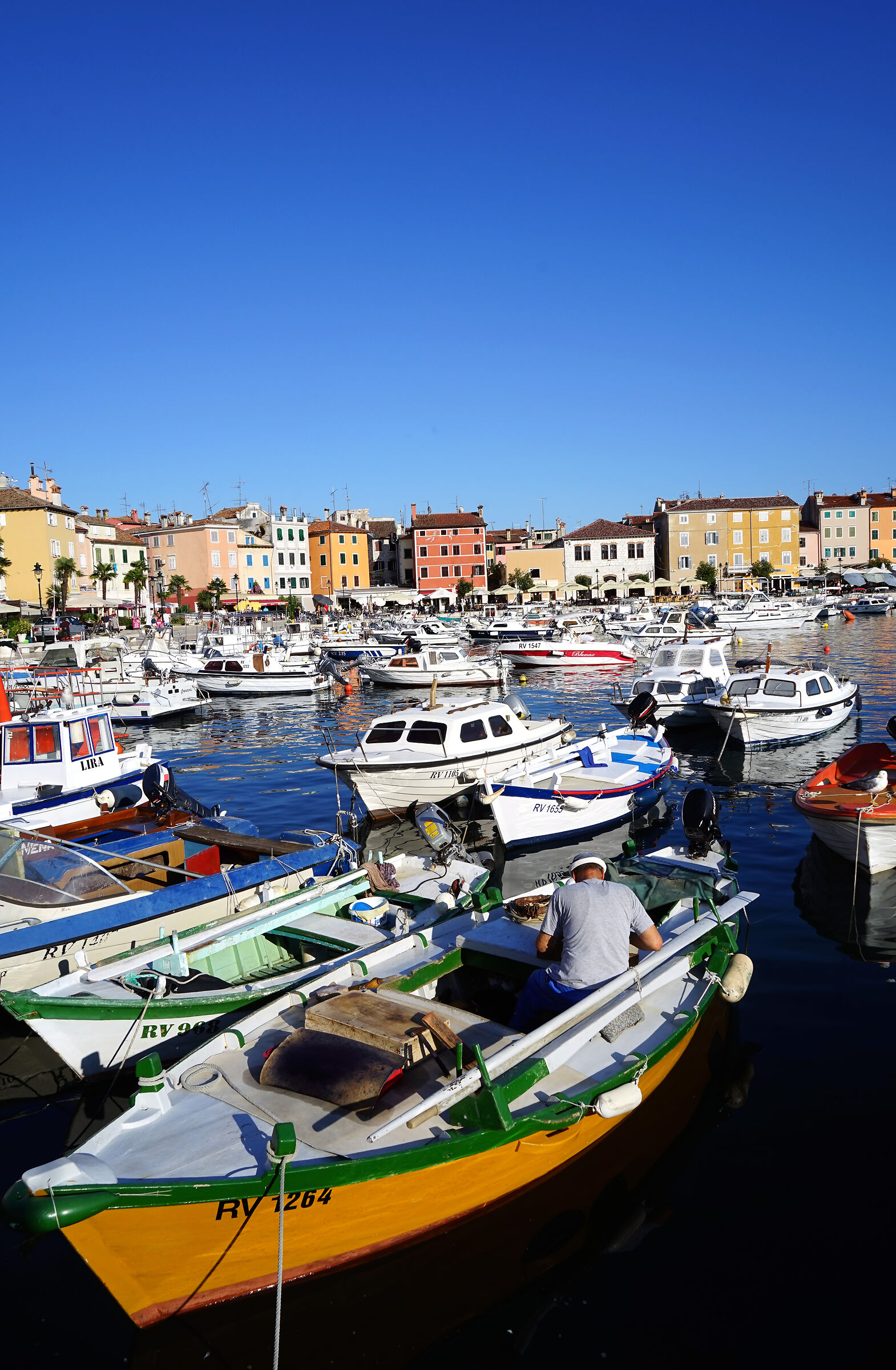 Pescatore nel Mandracchio di Rovigno - Istria