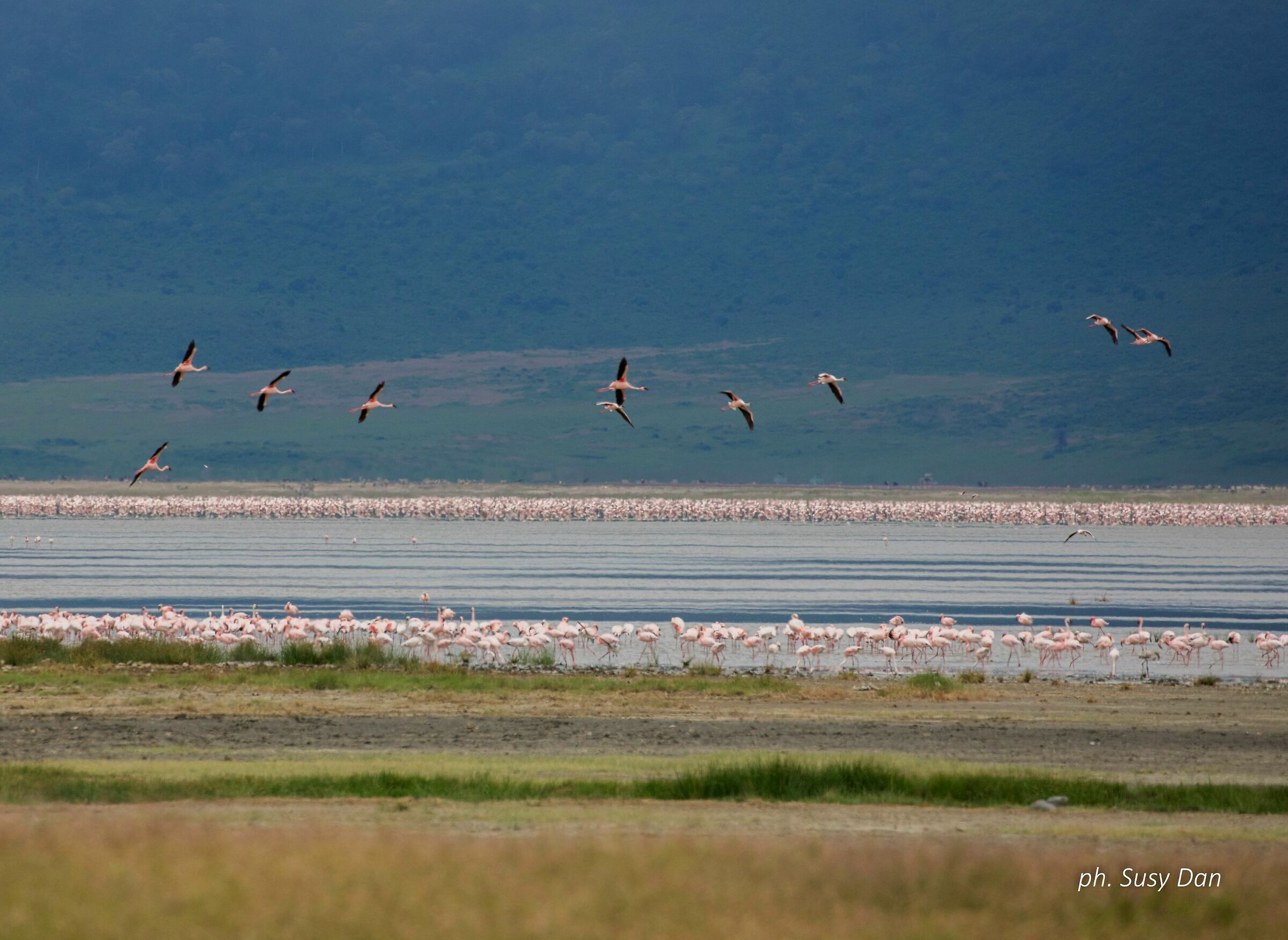 Ngorongoro lake