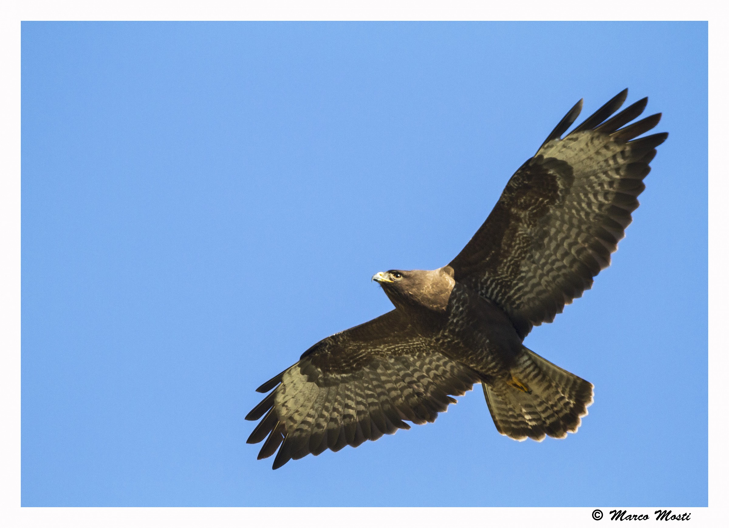 And 'he .. or is not he?